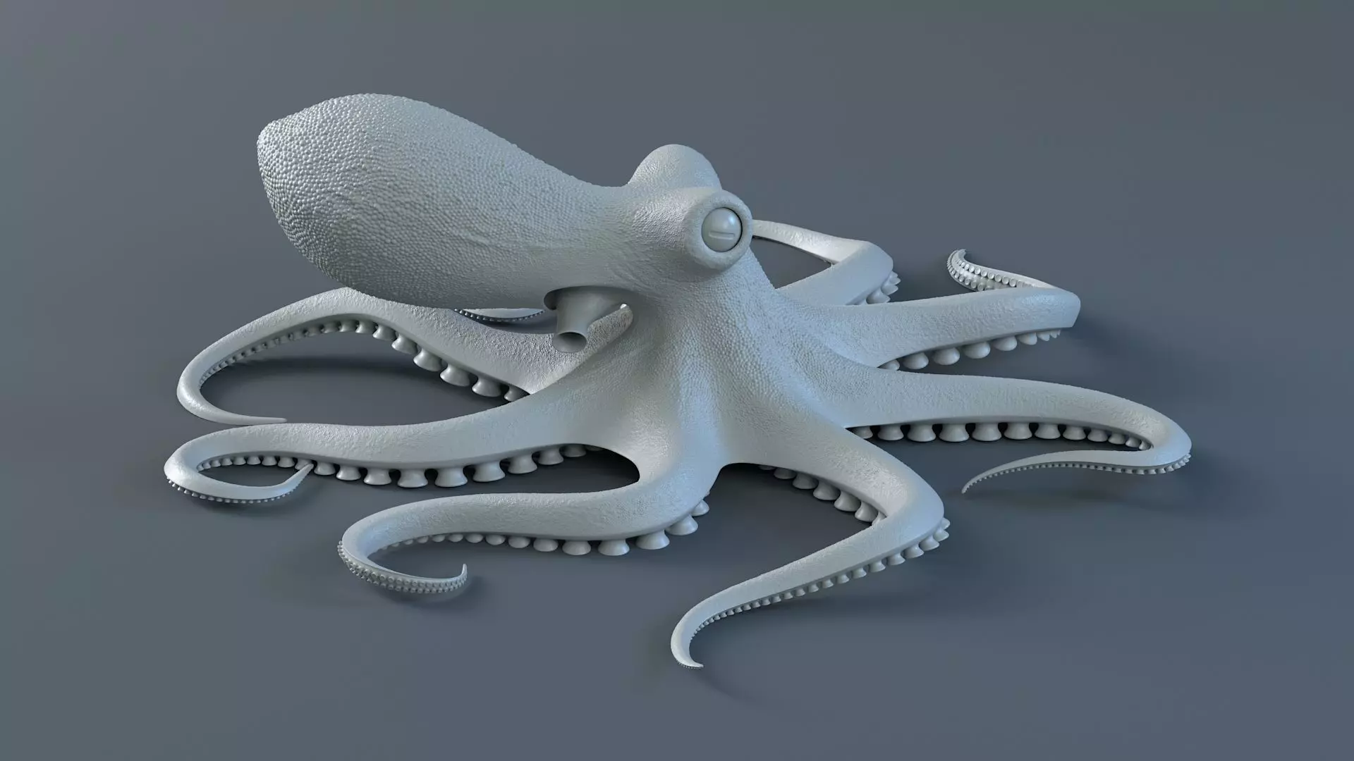 Octopus Pro Rigged 3D model_21