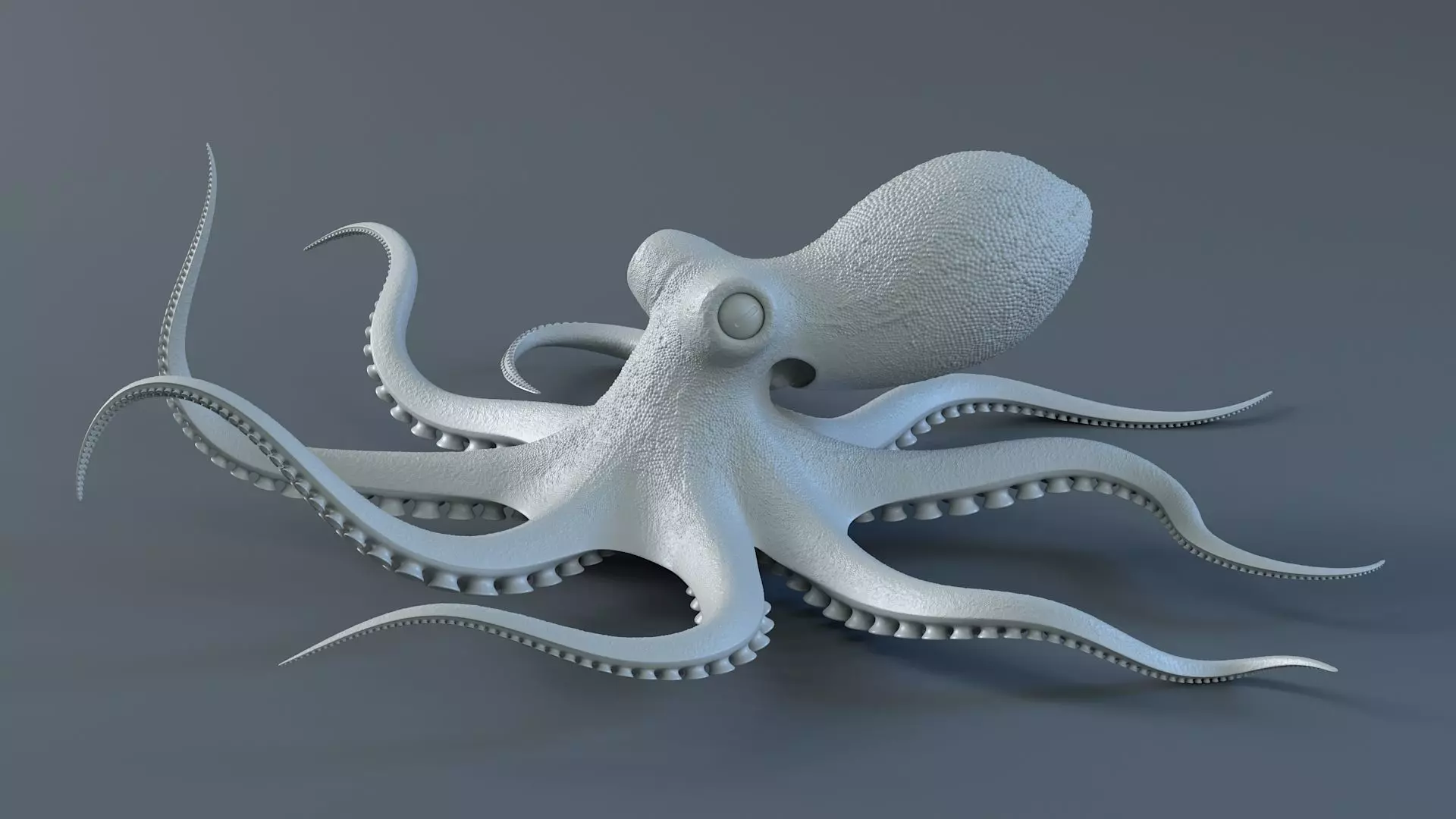 Octopus Pro Rigged 3D model_19