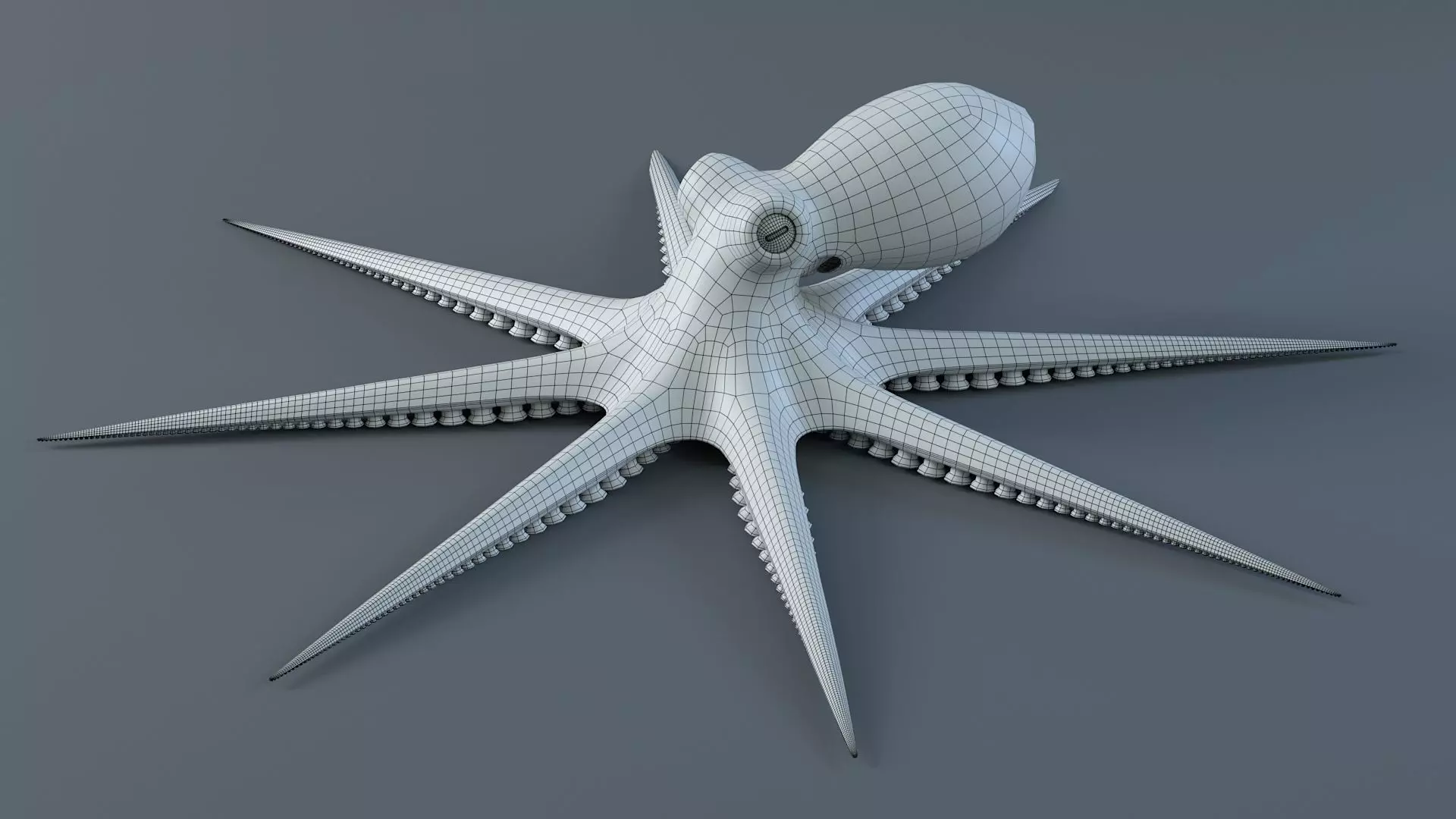 Octopus Pro Rigged 3D model_30