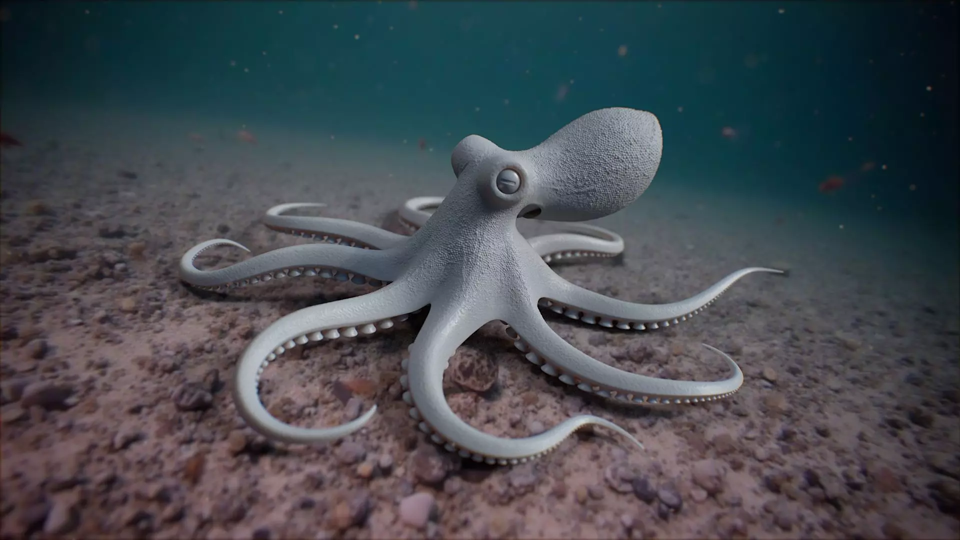 Octopus Pro Rigged 3D model_10