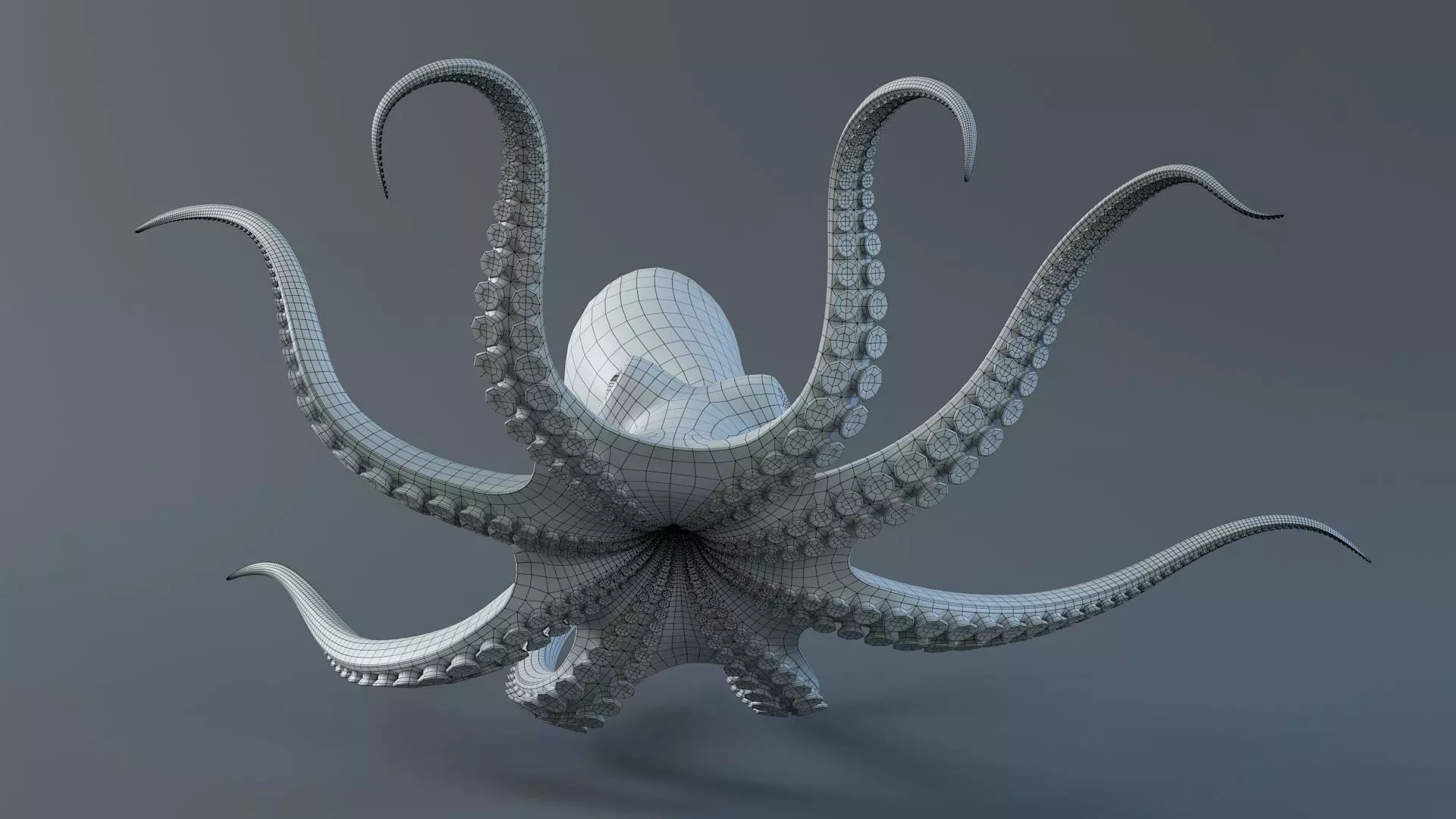 Octopus Pro Rigged 3D model_24