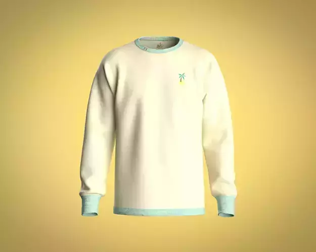 Mens sweatshirt with basic color and graphic