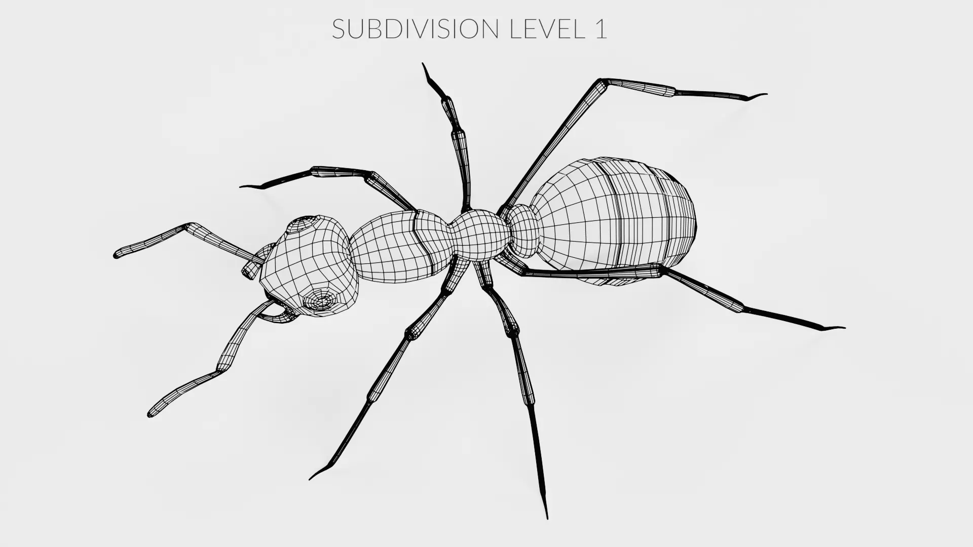 Ant - Formica Rufa Low-poly 3D model_11