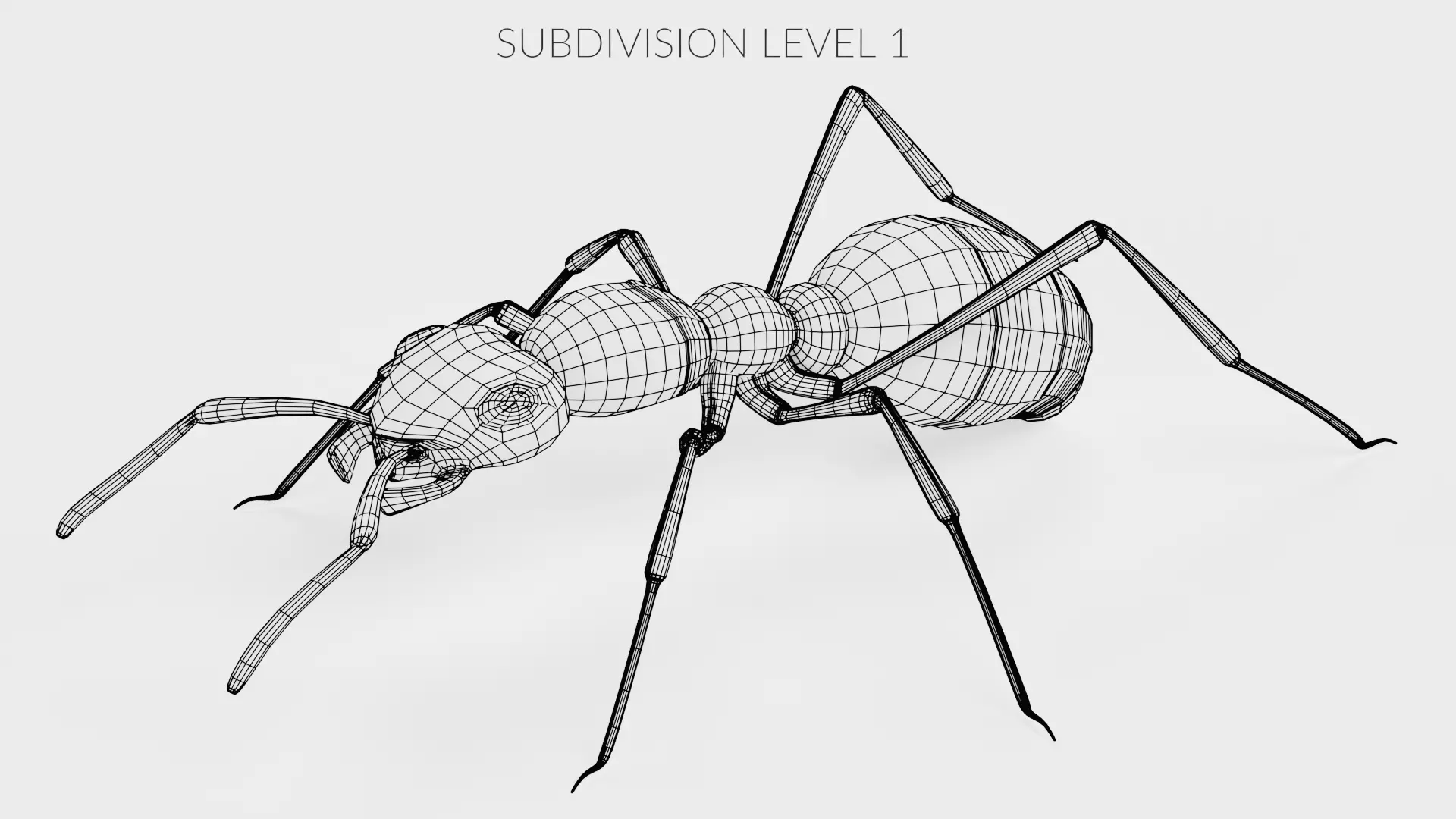Ant - Formica Rufa Low-poly 3D model_9