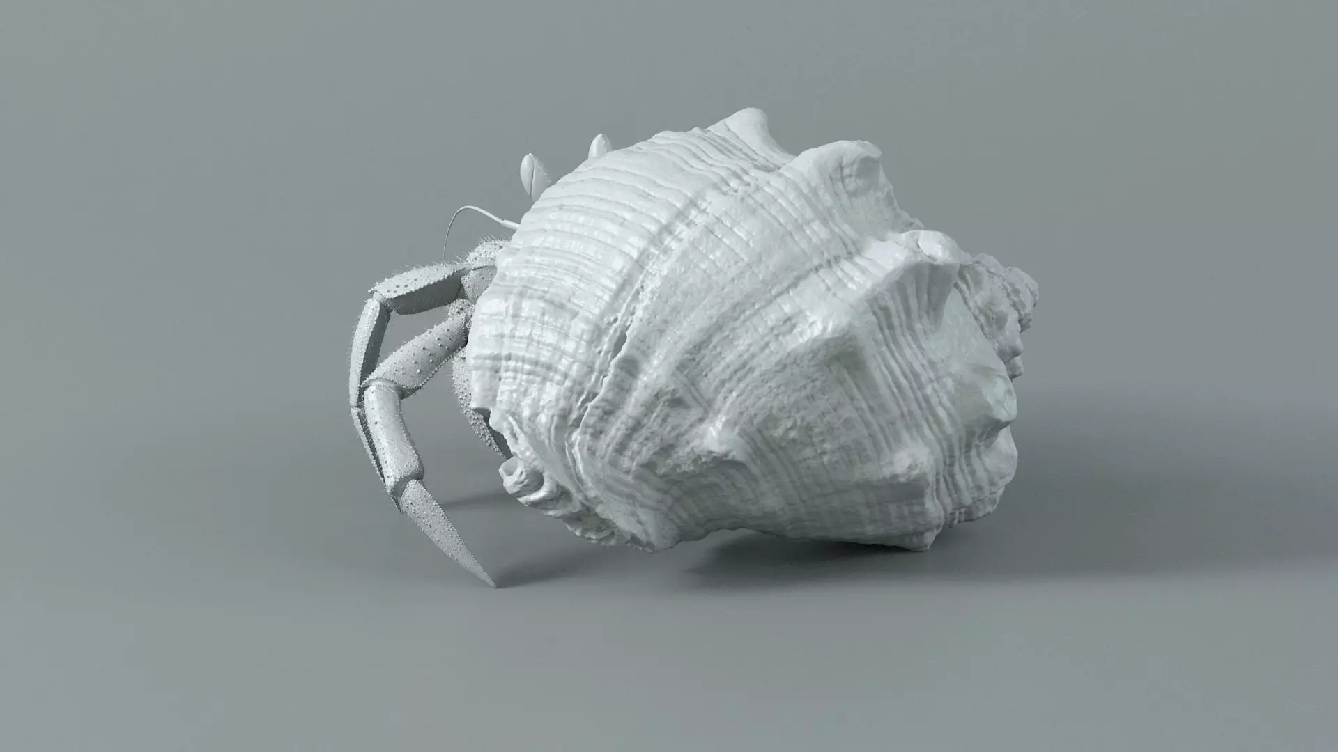 Hermit Crab Rigged 3D model_27
