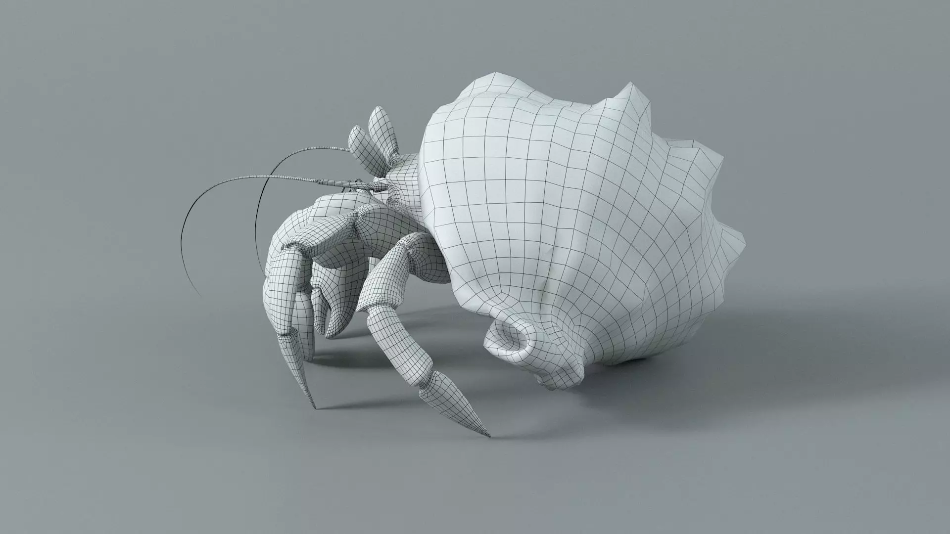 Hermit Crab Rigged 3D model_43