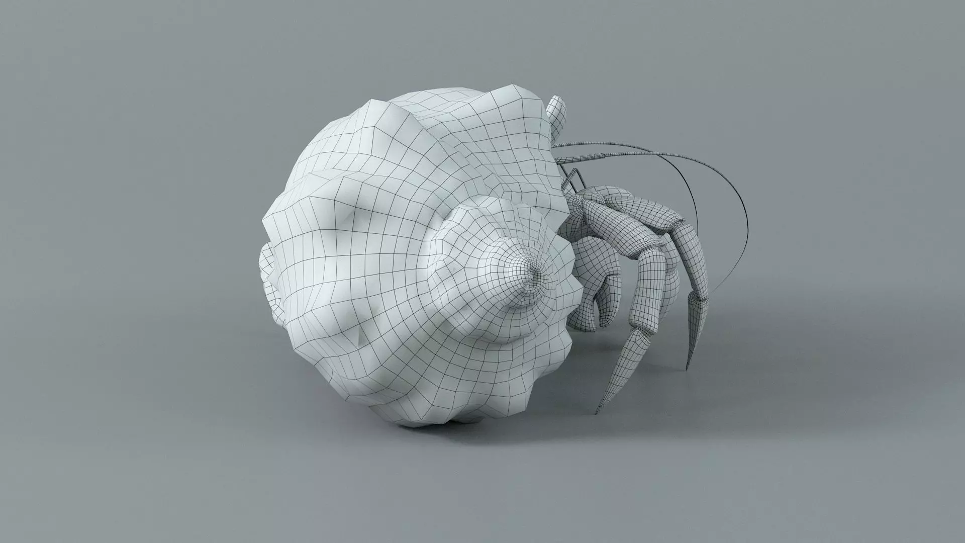 Hermit Crab Rigged 3D model_41