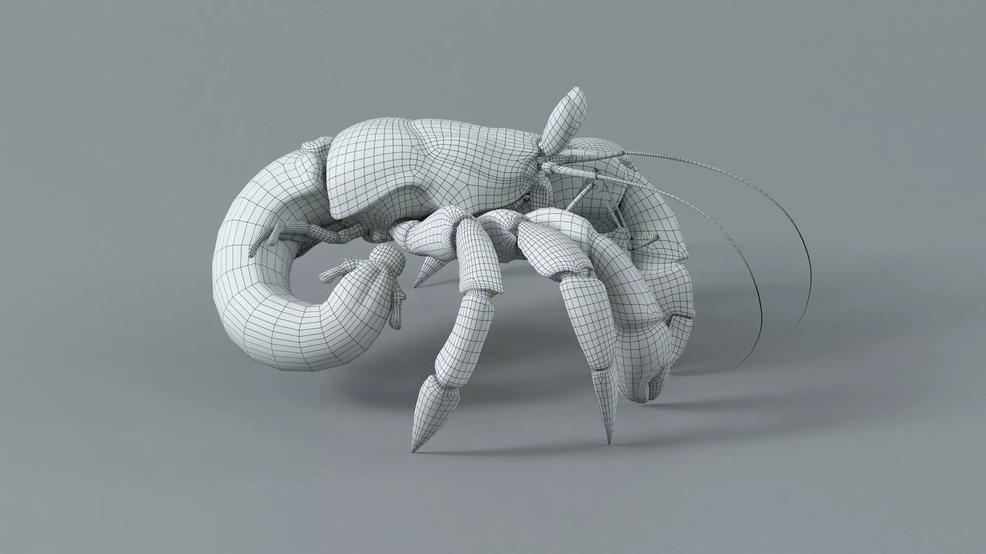 Hermit Crab Rigged 3D model_47