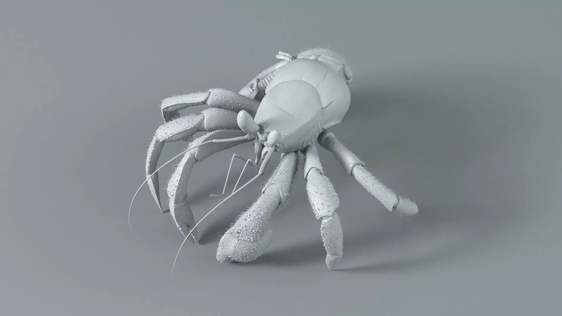 Hermit Crab Rigged 3D model_35