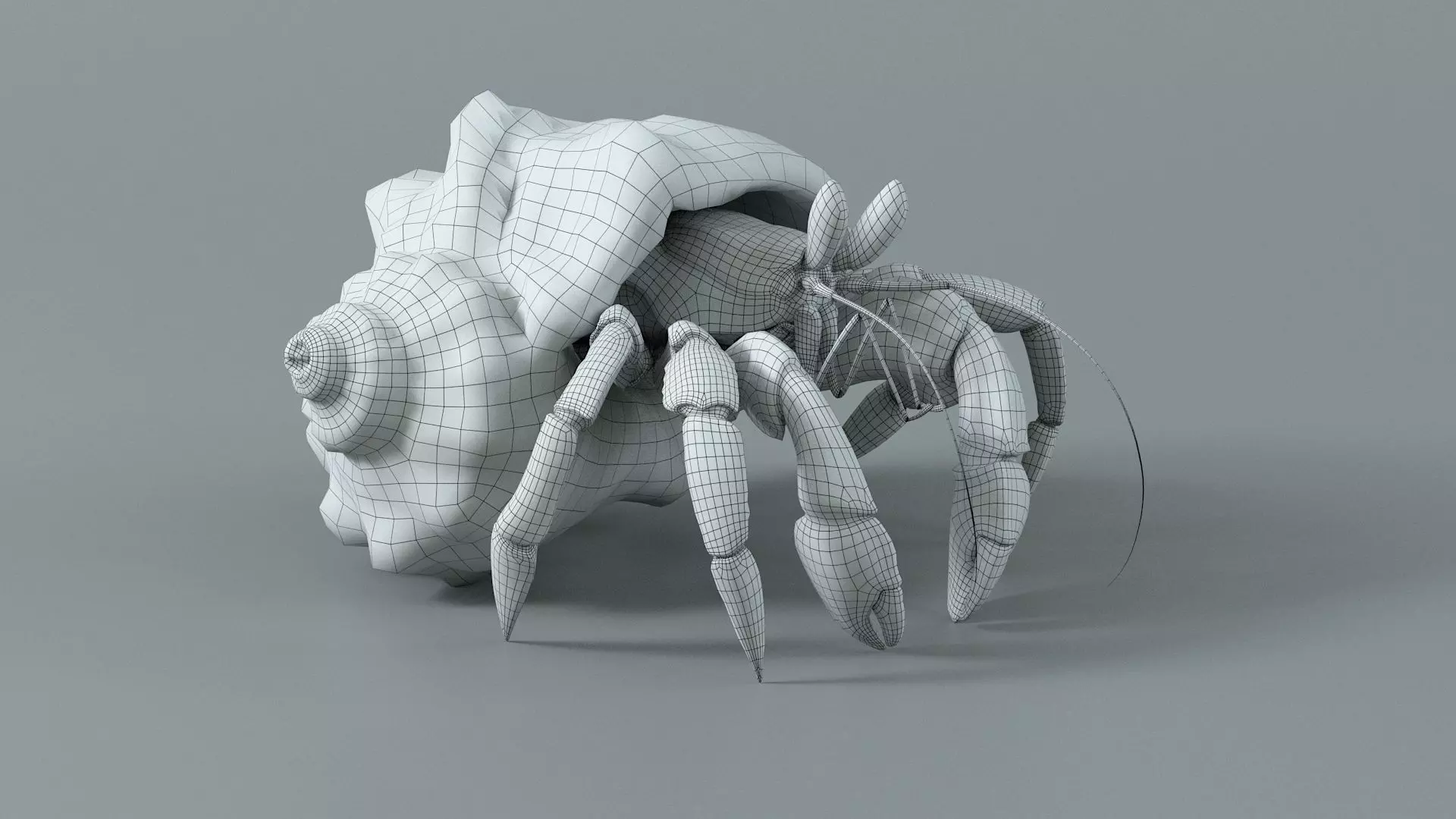 Hermit Crab Rigged 3D model_40