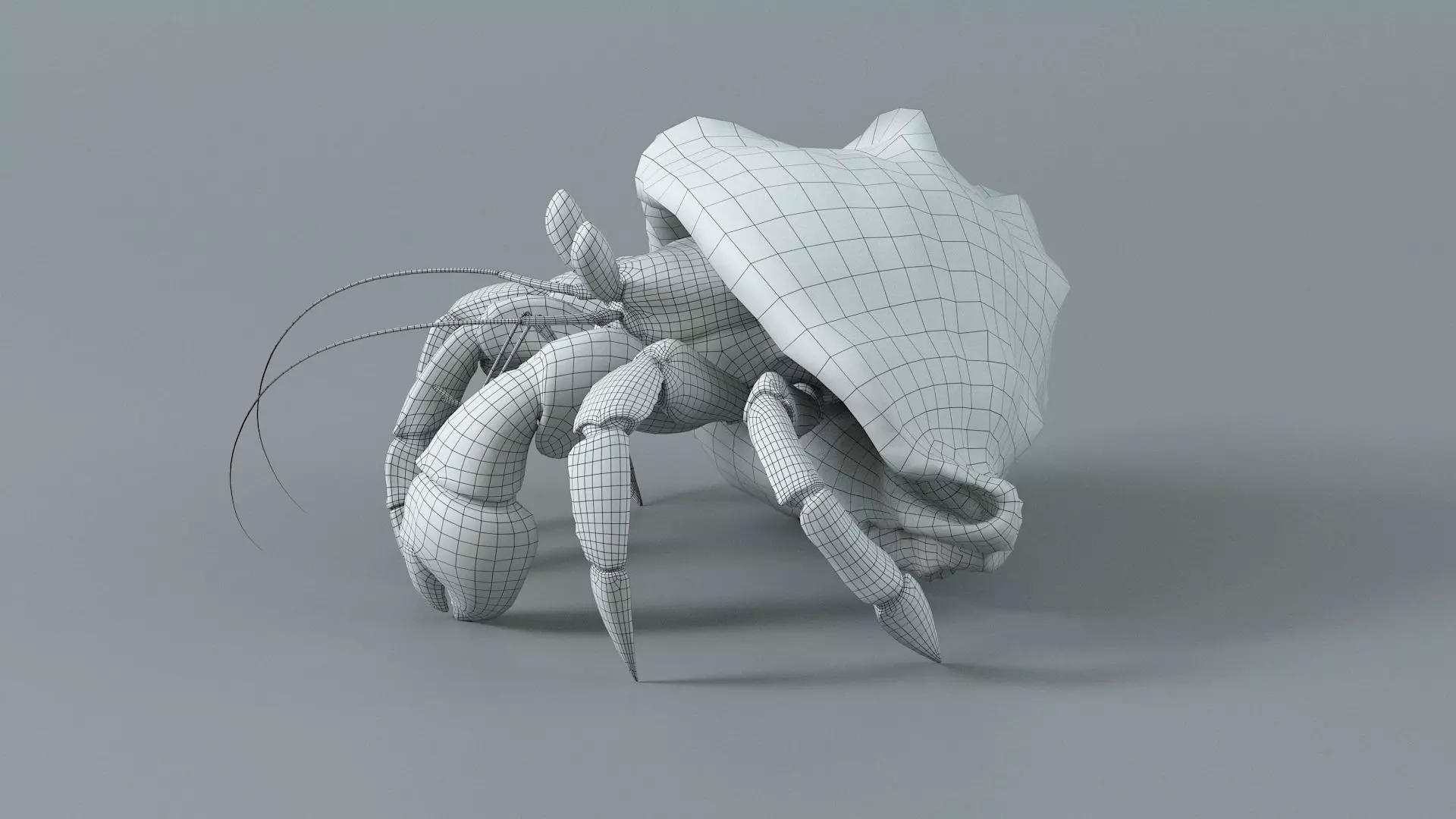 Hermit Crab Rigged 3D model_44