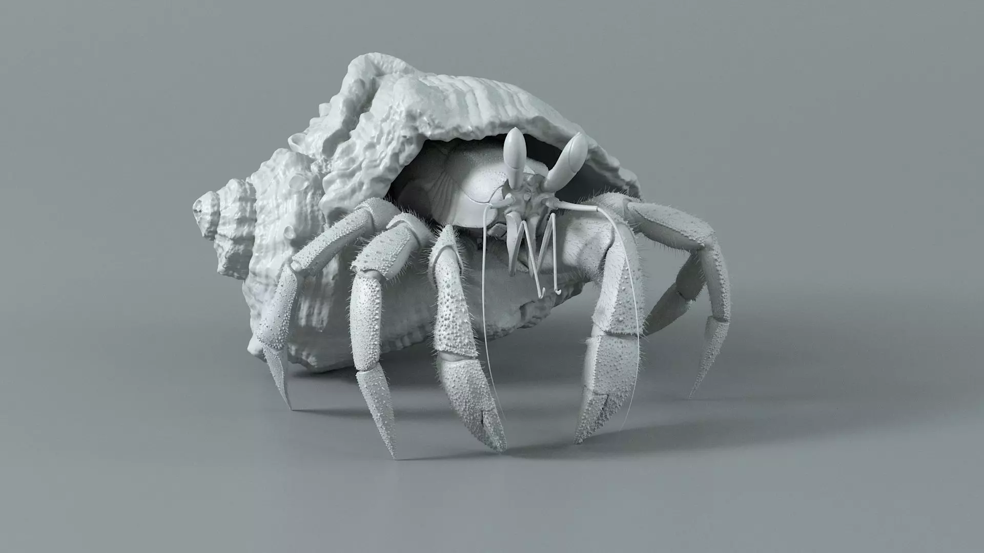 Hermit Crab Rigged 3D model_24