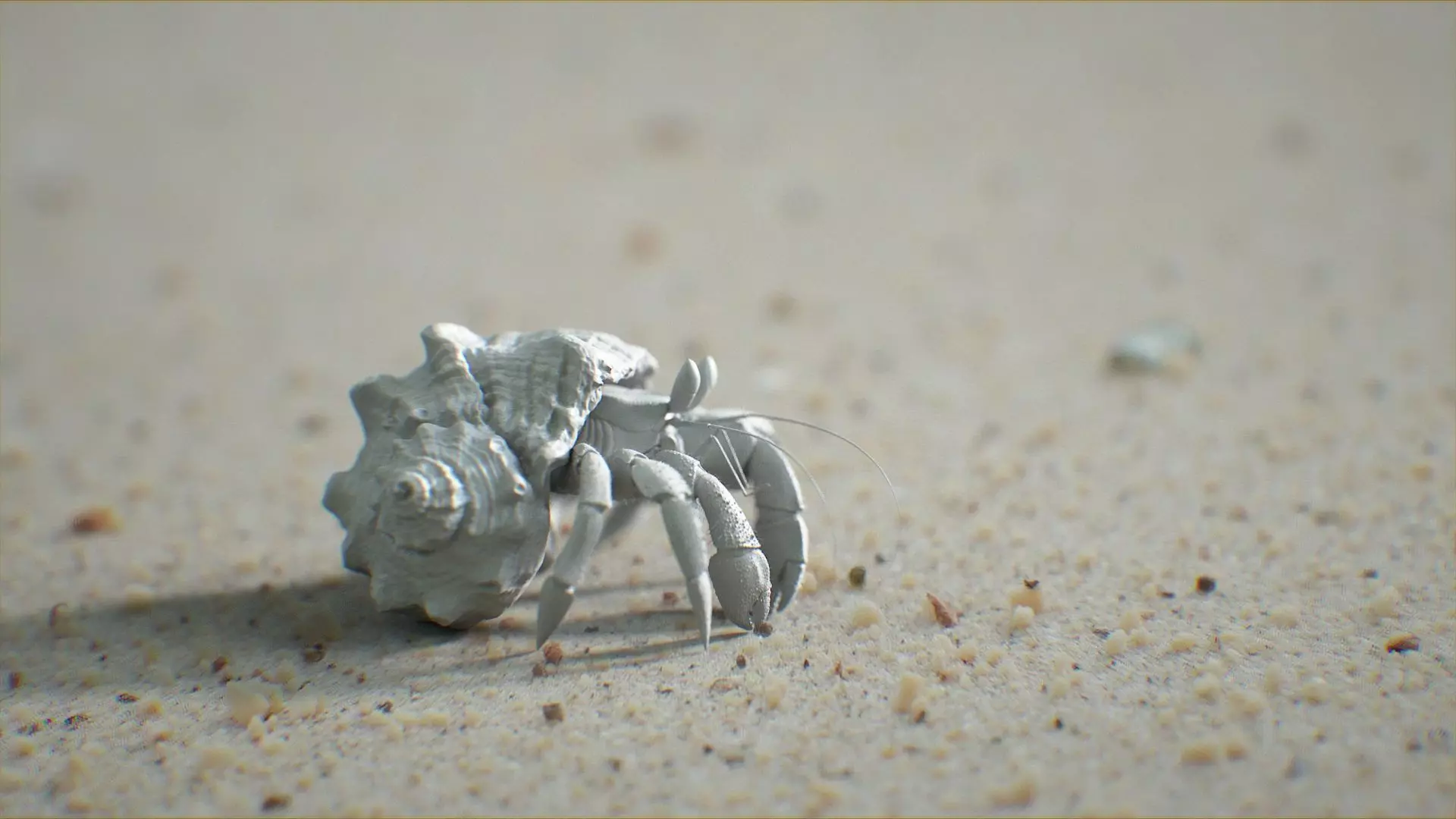Hermit Crab Rigged 3D model_4