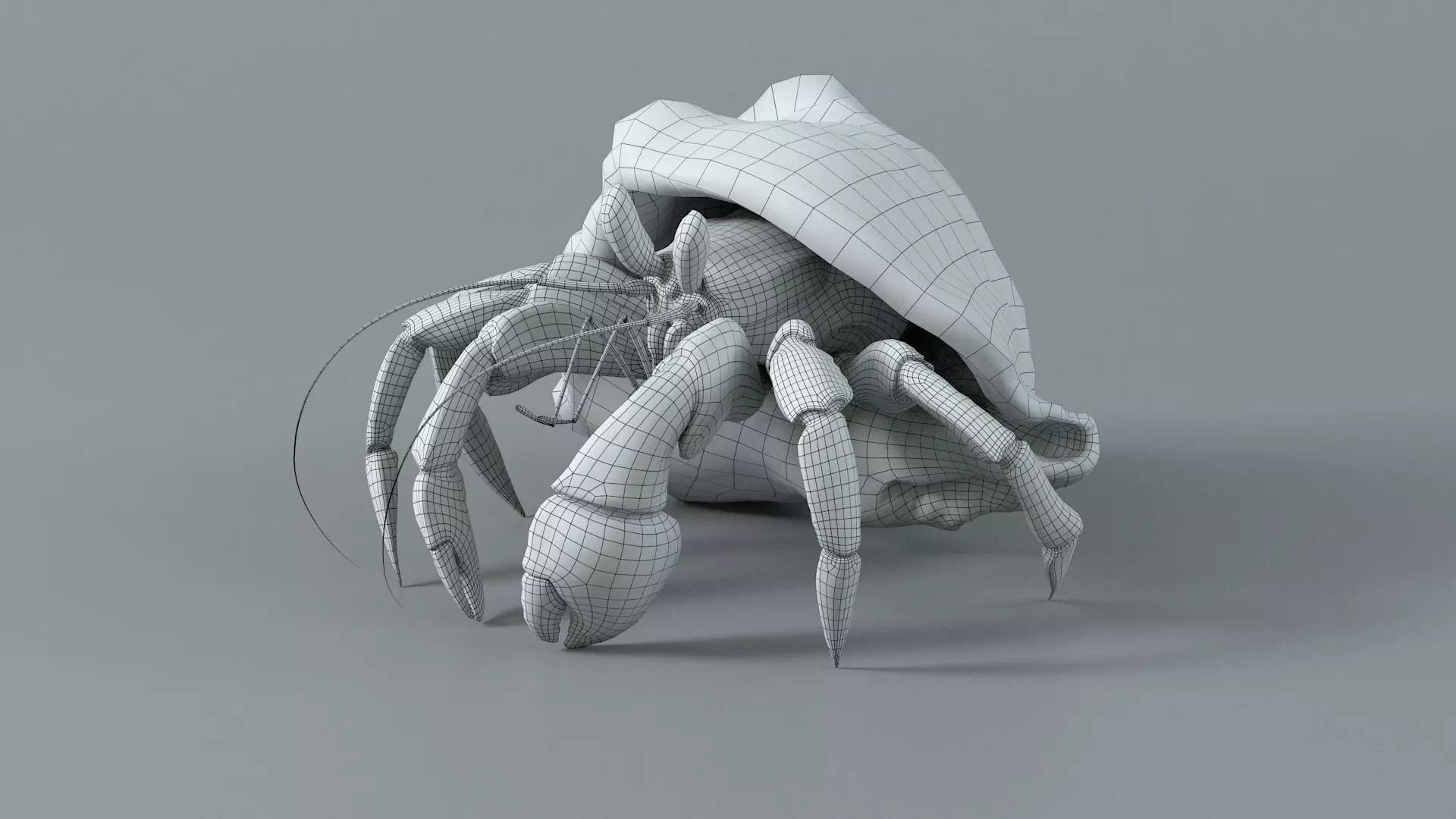 Hermit Crab Rigged 3D model_38