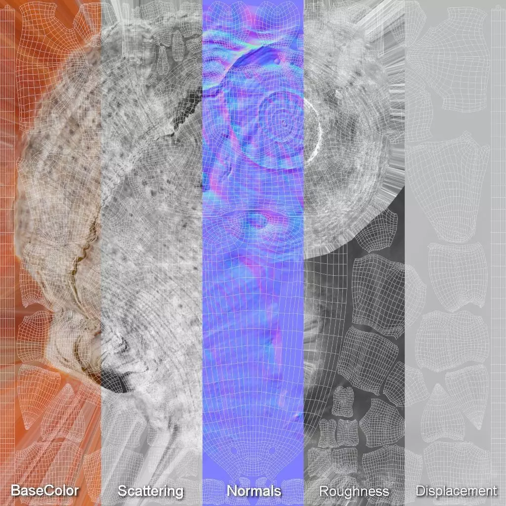 Hermit Crab Rigged 3D model_55