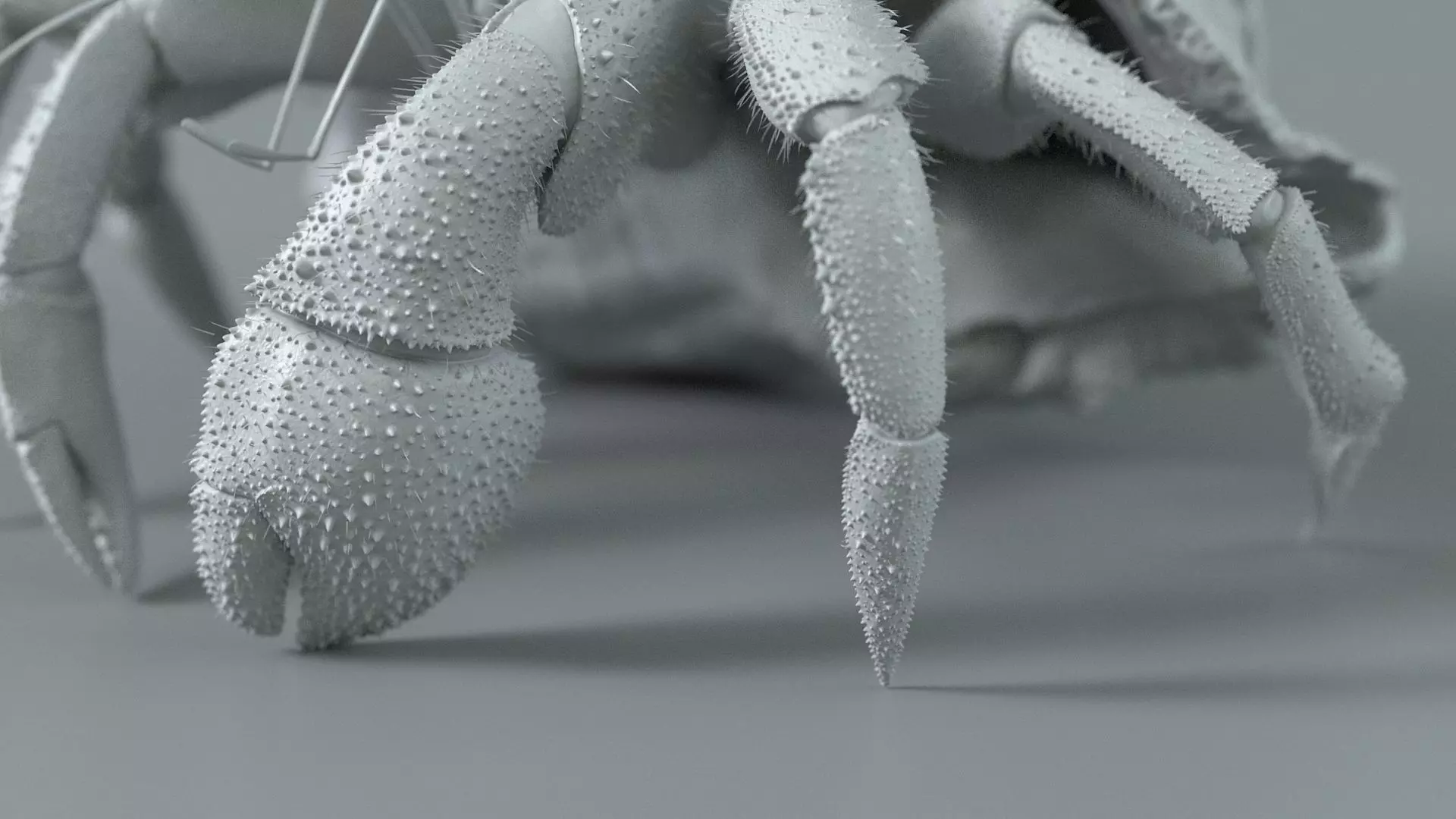 Hermit Crab Rigged 3D model_37