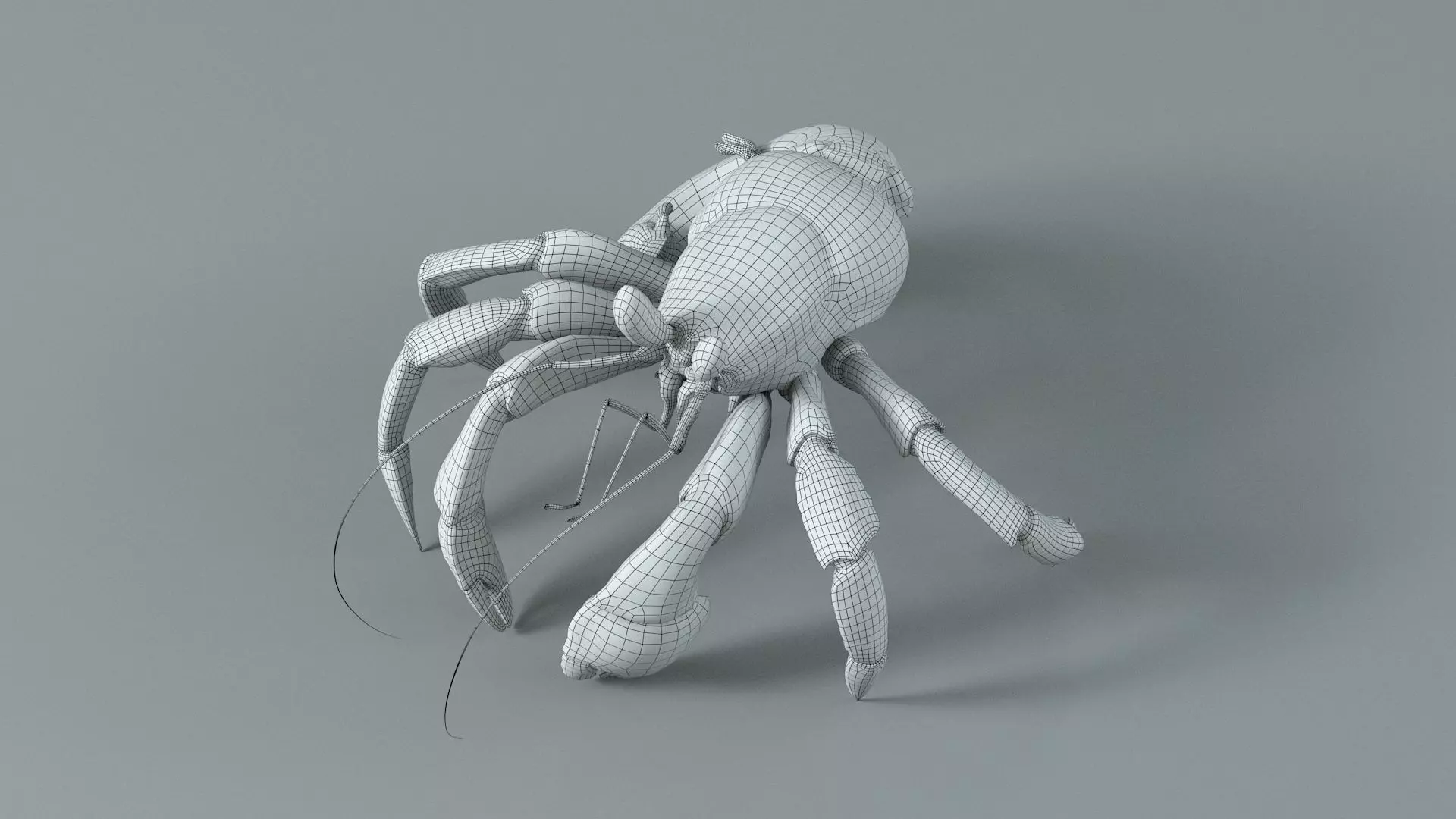 Hermit Crab Rigged 3D model_50