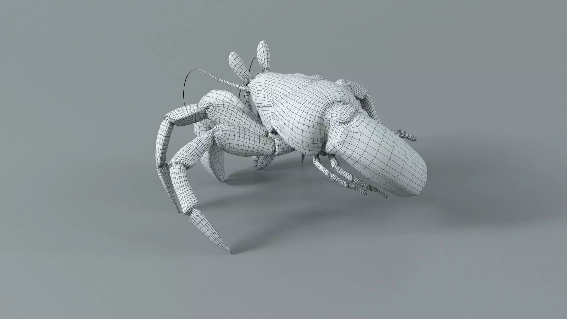 Hermit Crab Rigged 3D model_49