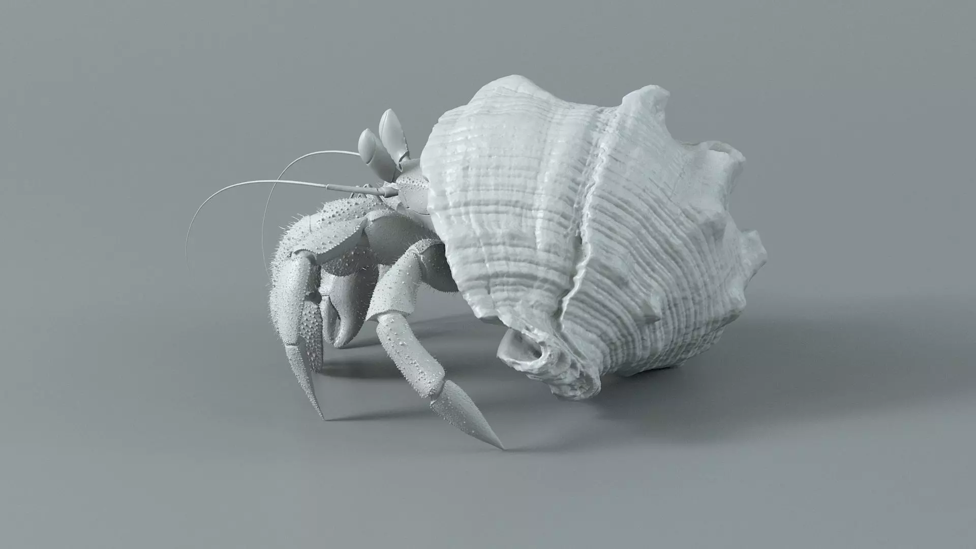 Hermit Crab Rigged 3D model_28