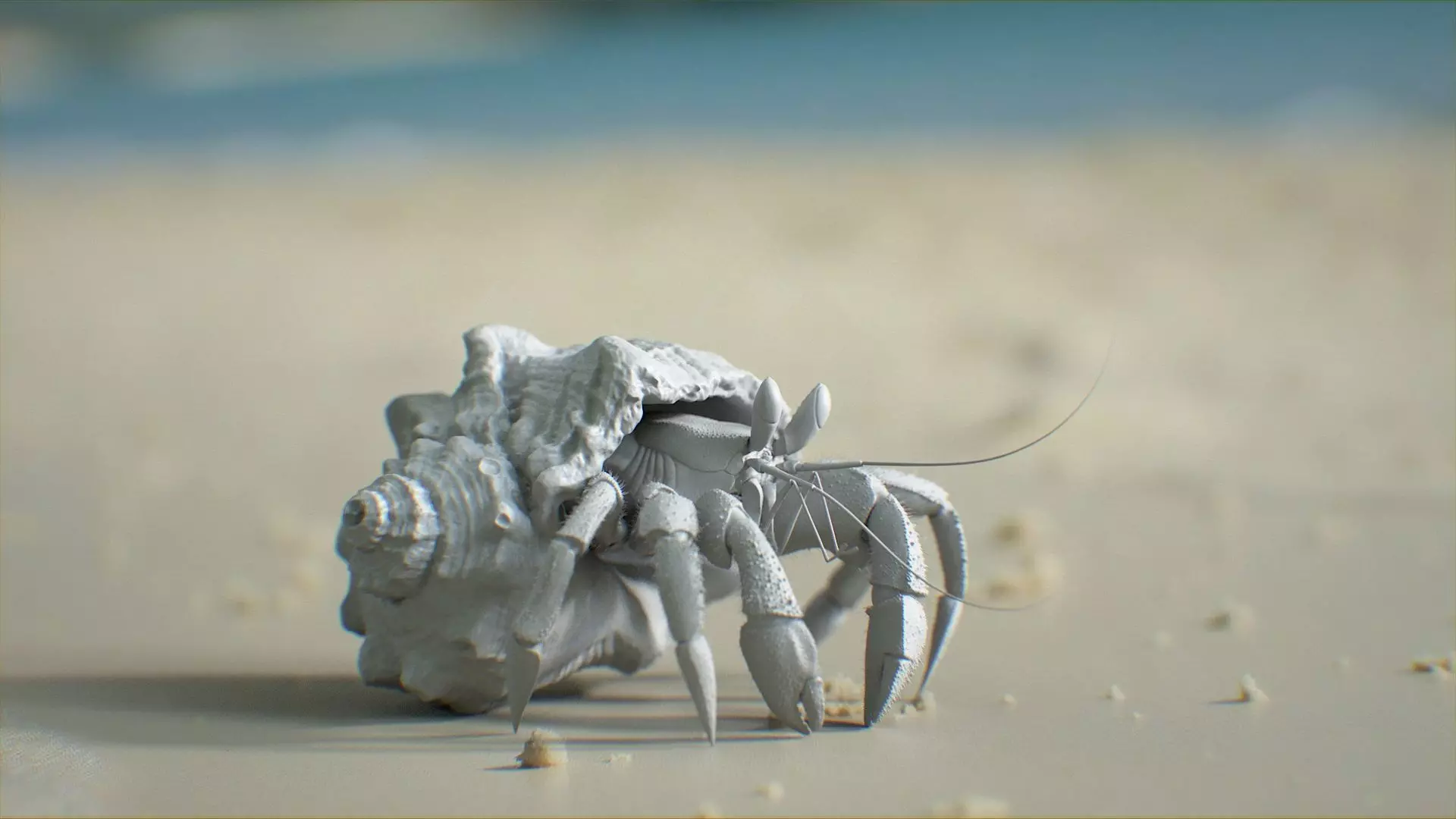 Hermit Crab Rigged 3D model_6