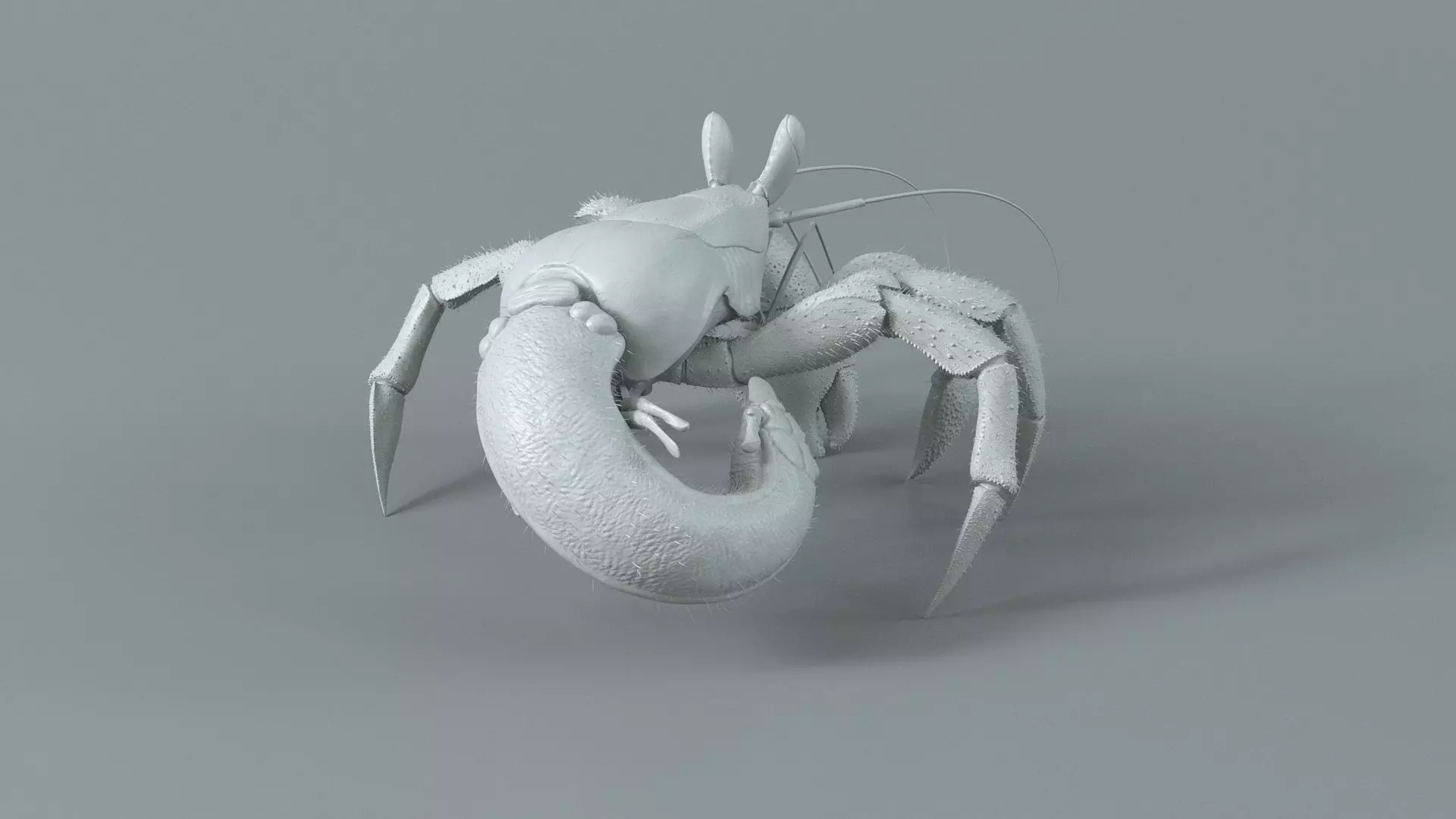 Hermit Crab Rigged 3D model_33