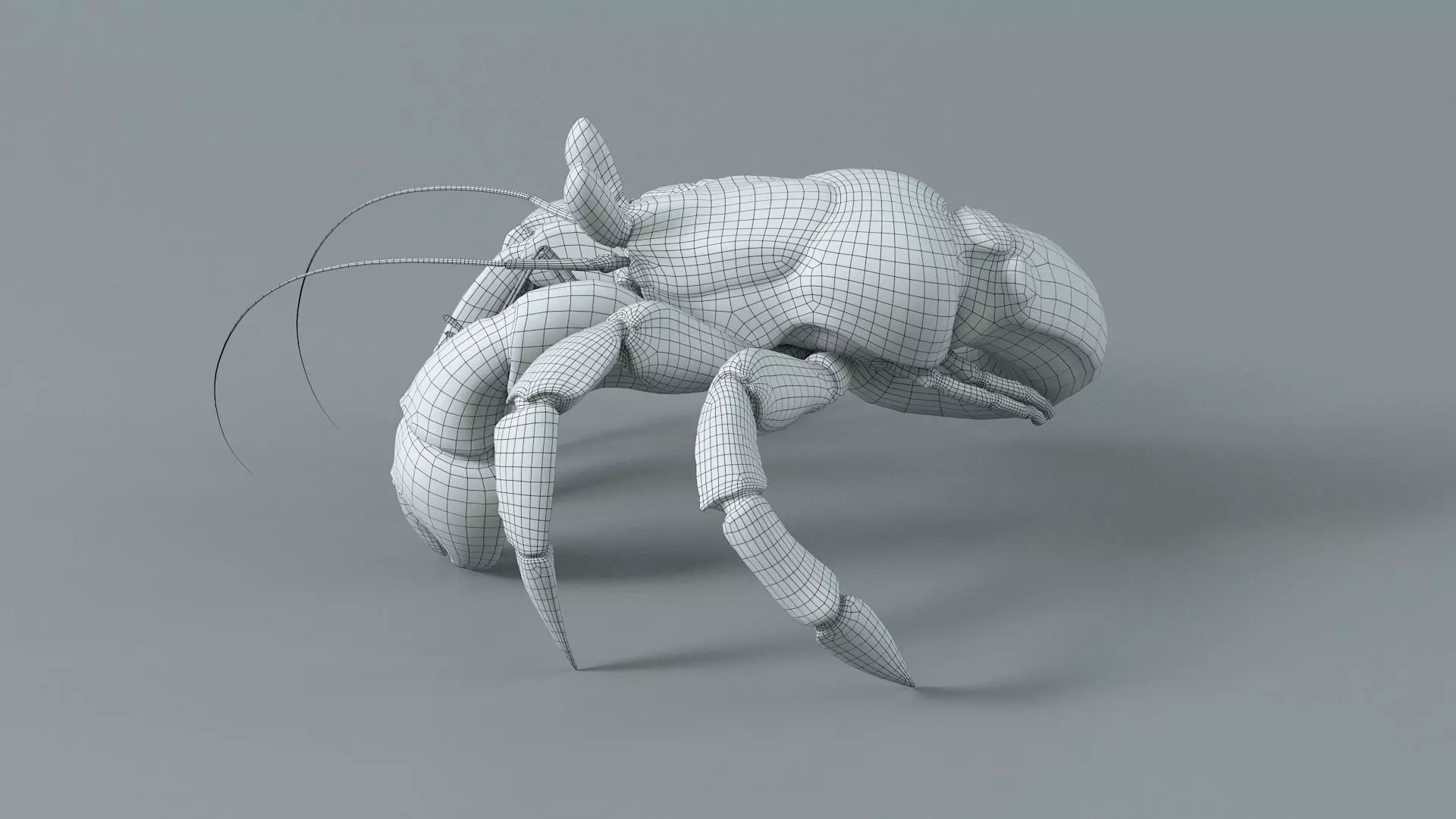Hermit Crab Rigged 3D model_45