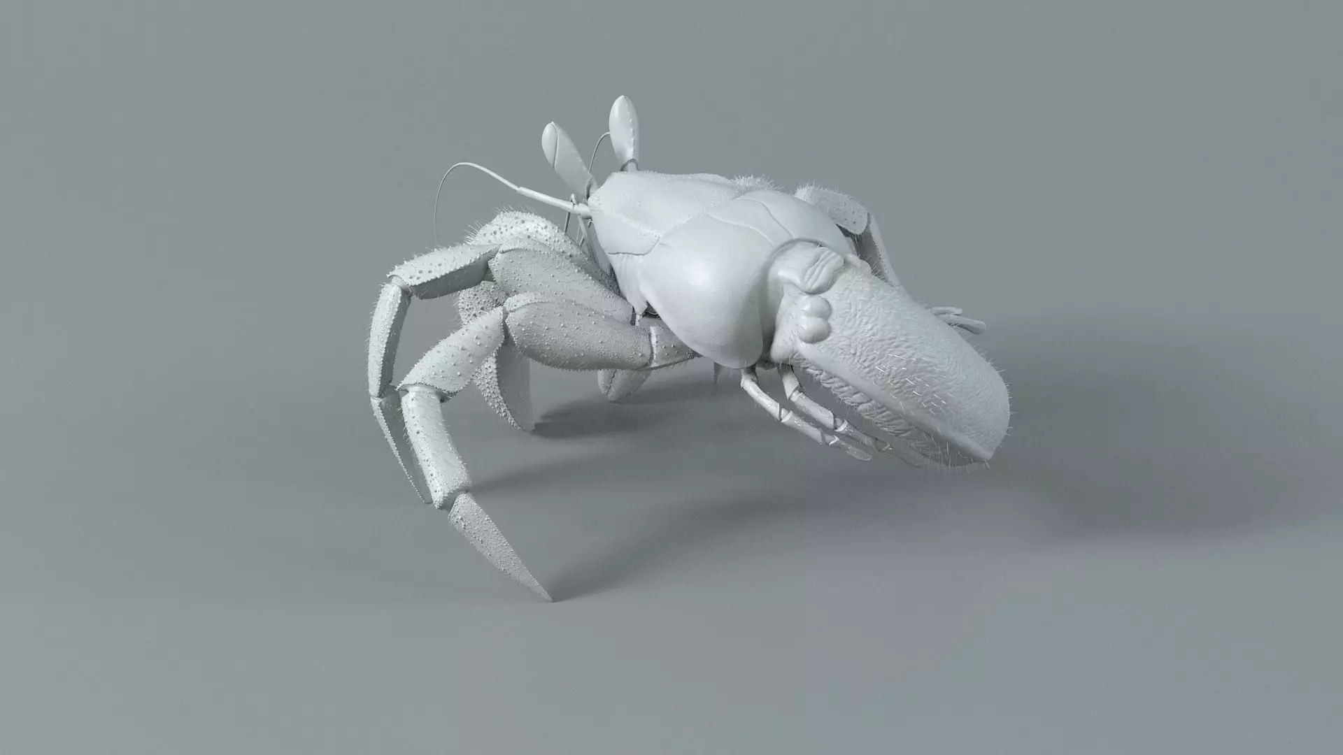 Hermit Crab Rigged 3D model_34