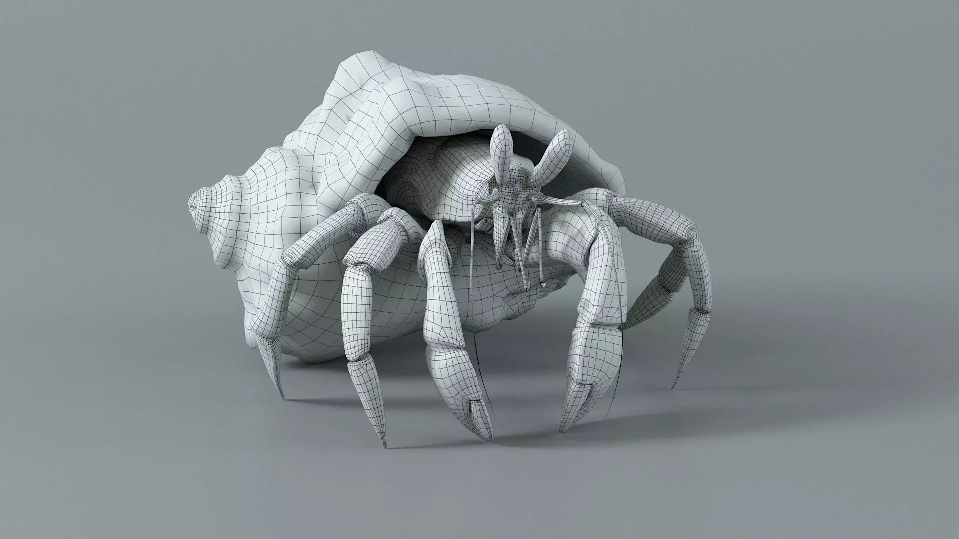 Hermit Crab Rigged 3D model_39