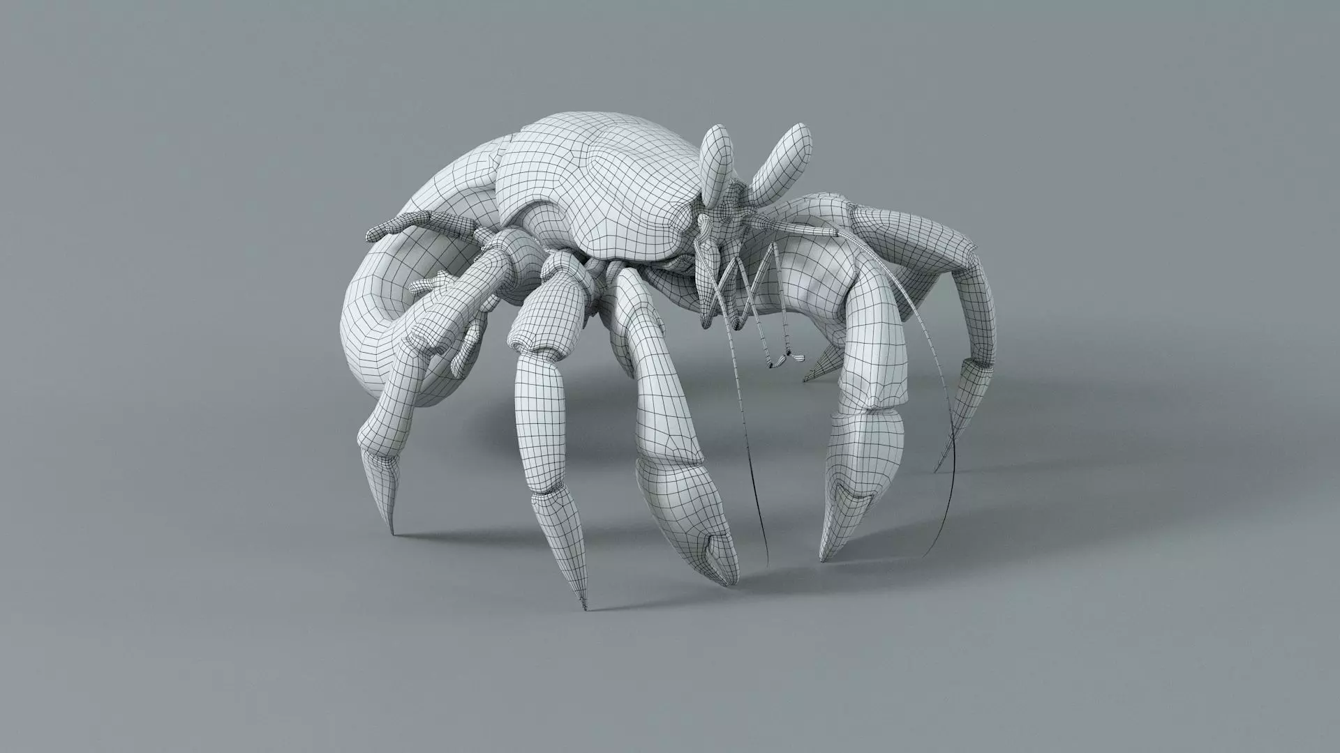 Hermit Crab Rigged 3D model_46