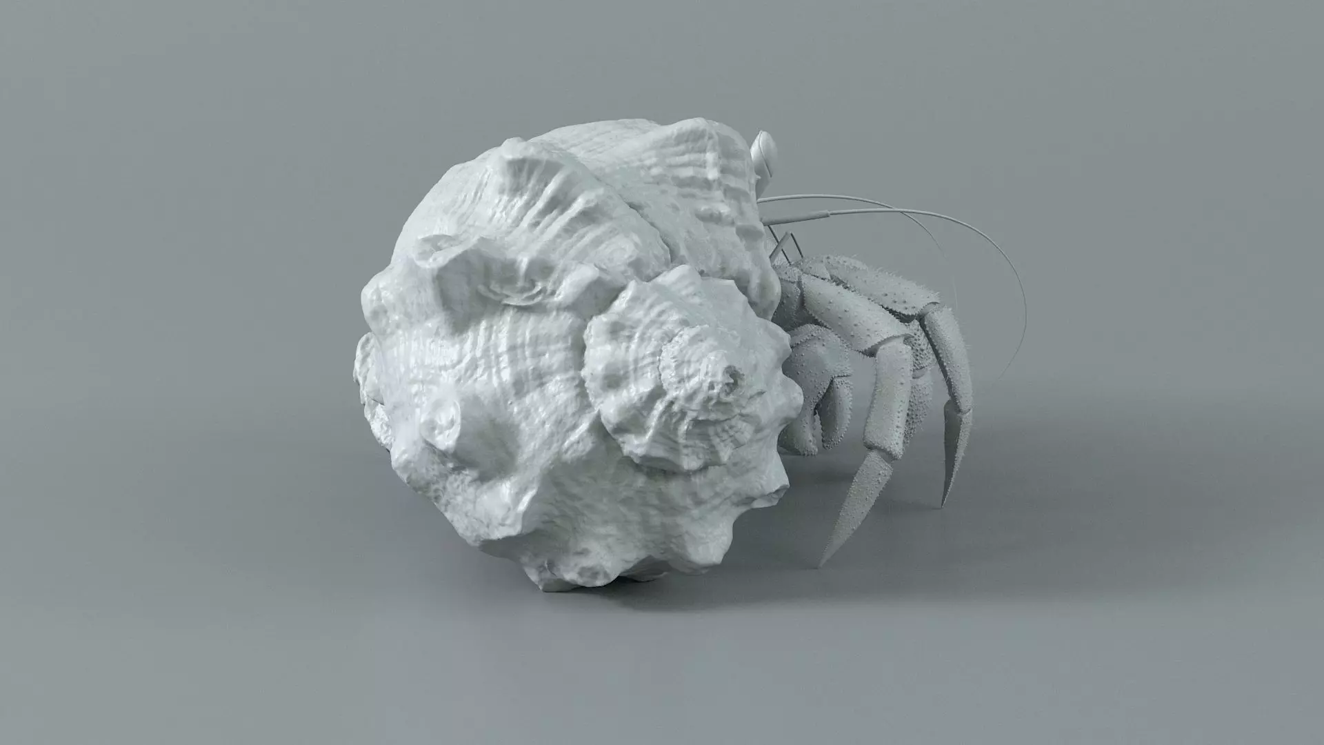 Hermit Crab Rigged 3D model_26