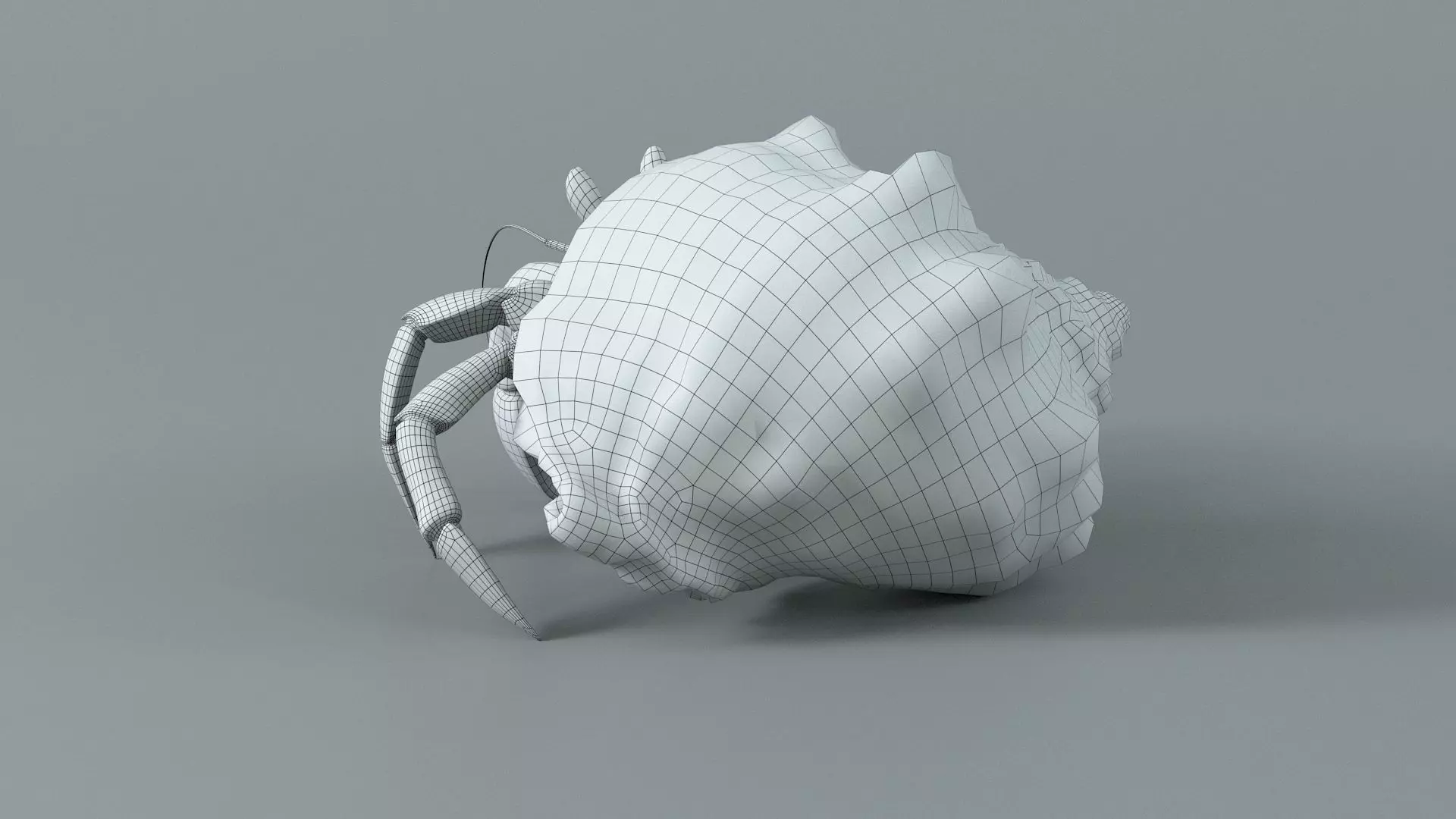 Hermit Crab Rigged 3D model_42
