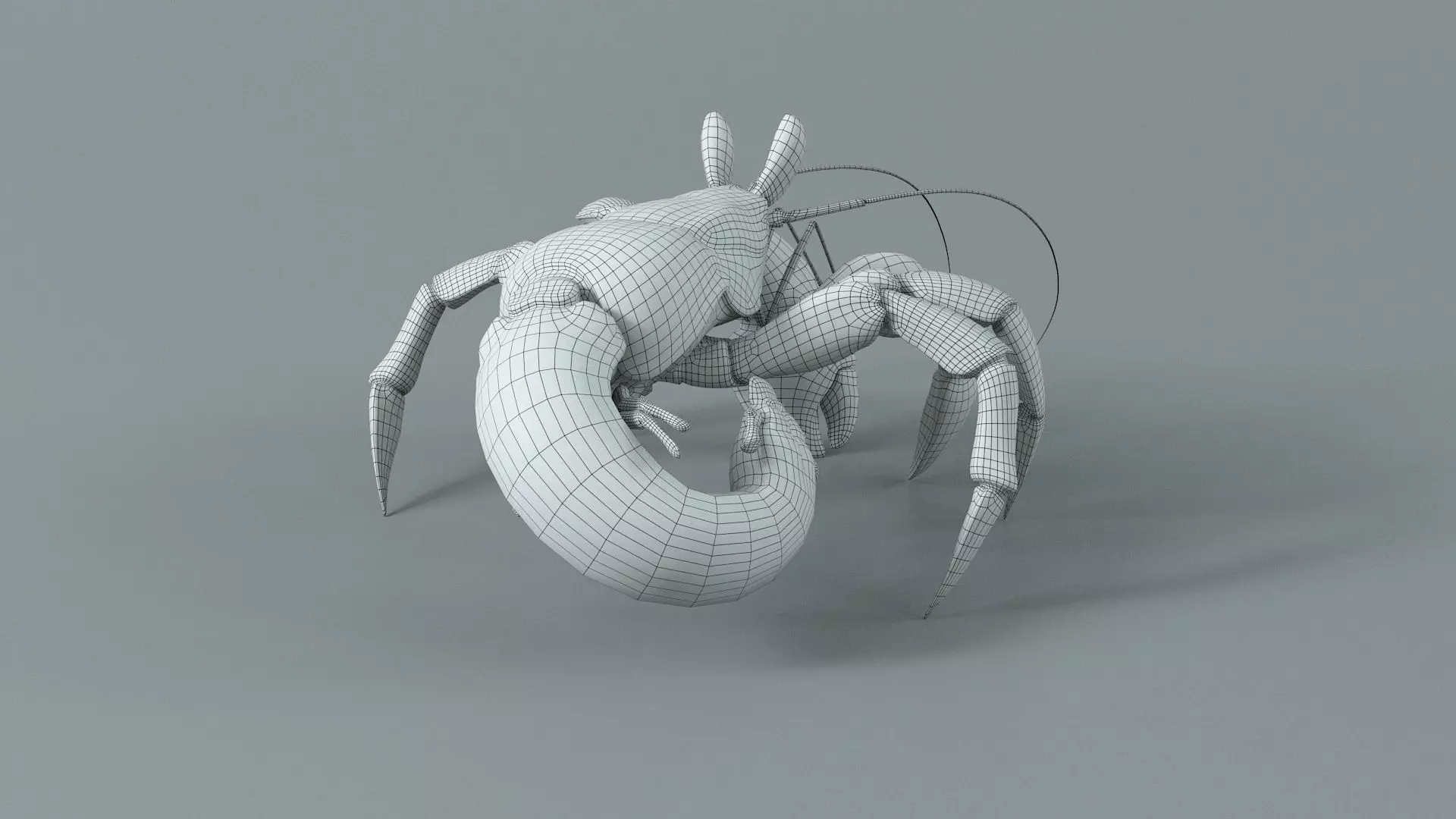 Hermit Crab Rigged 3D model_48
