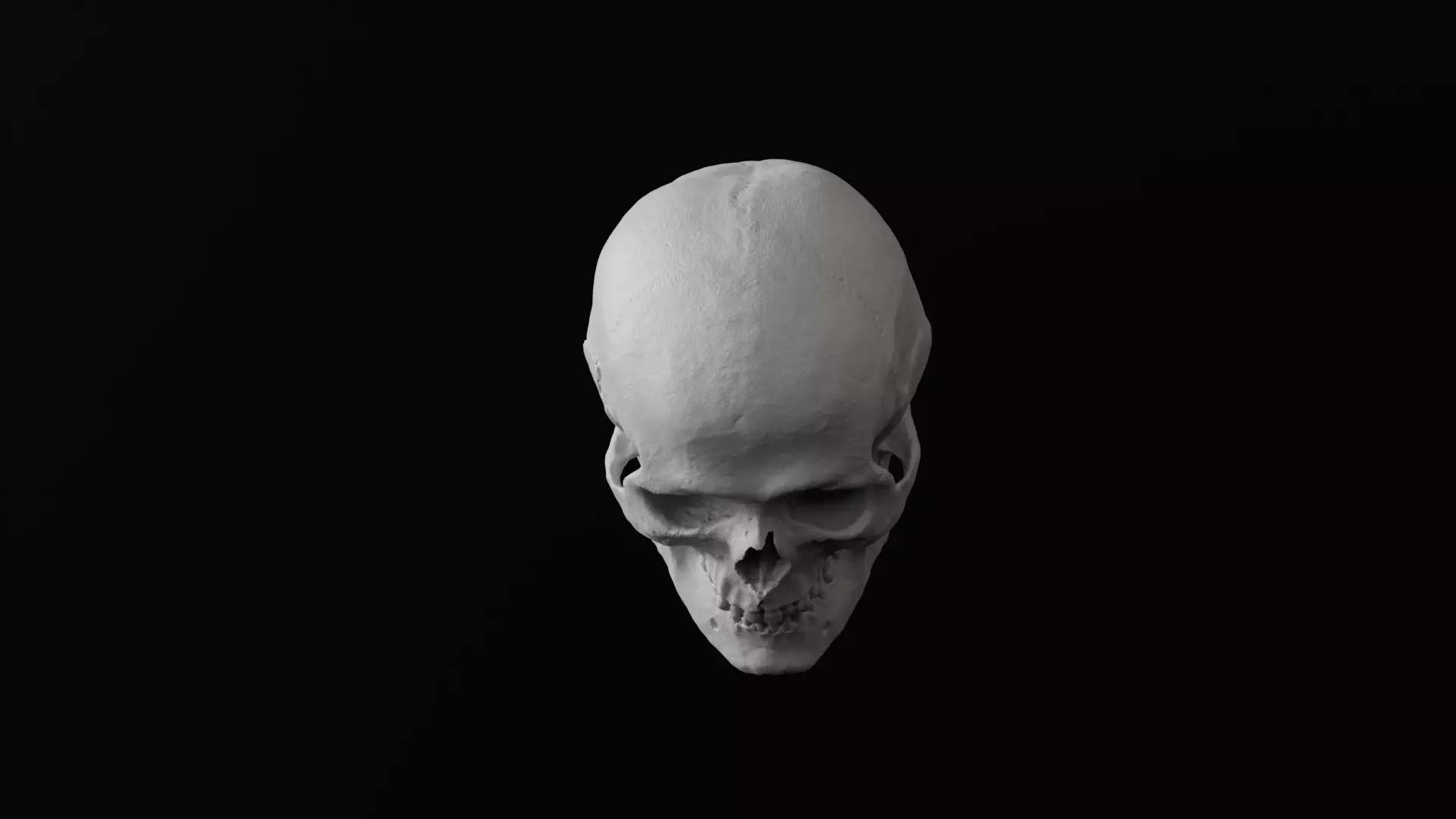 Human Skull 3D model_4