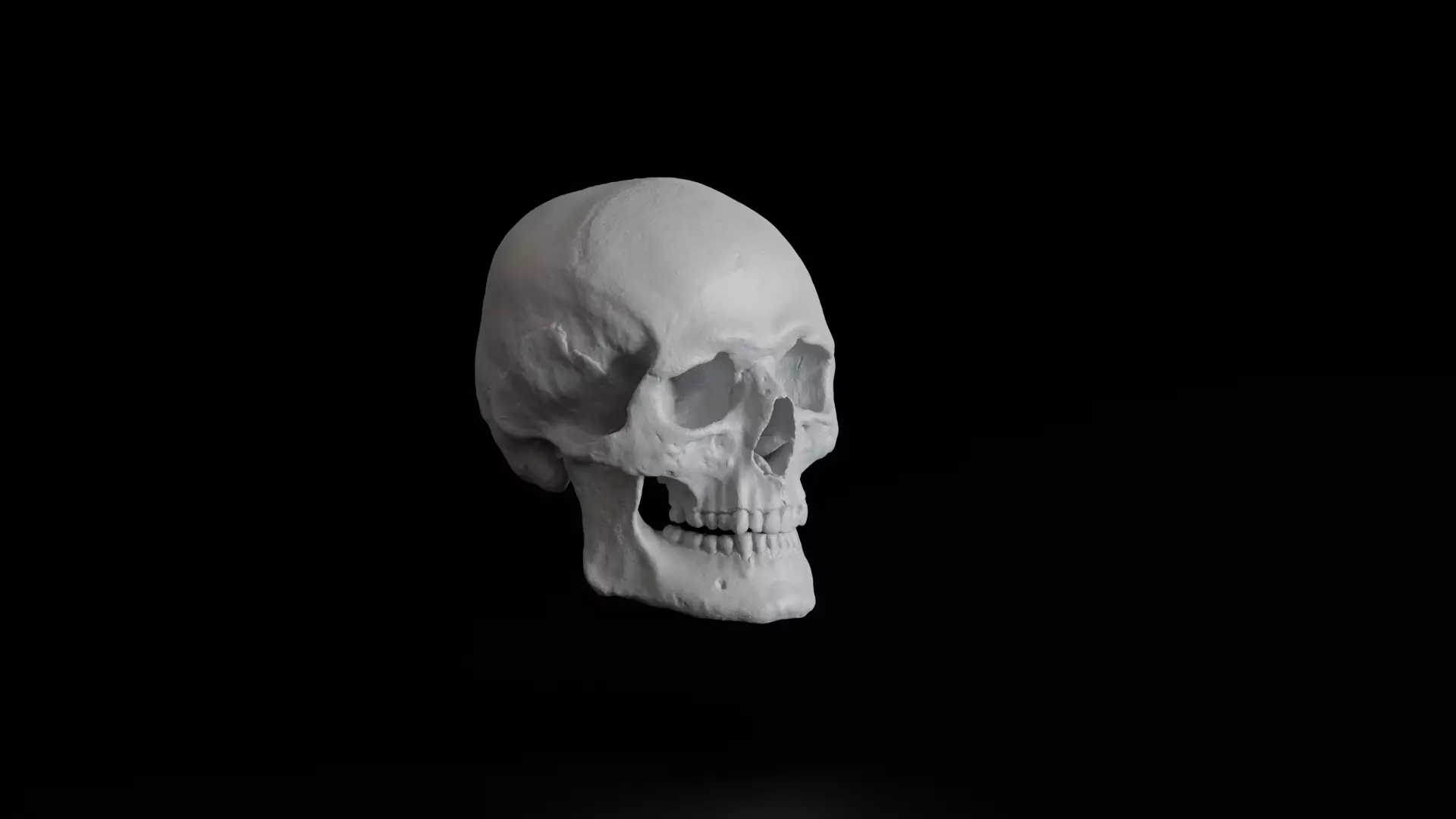 Human Skull 3D model_1