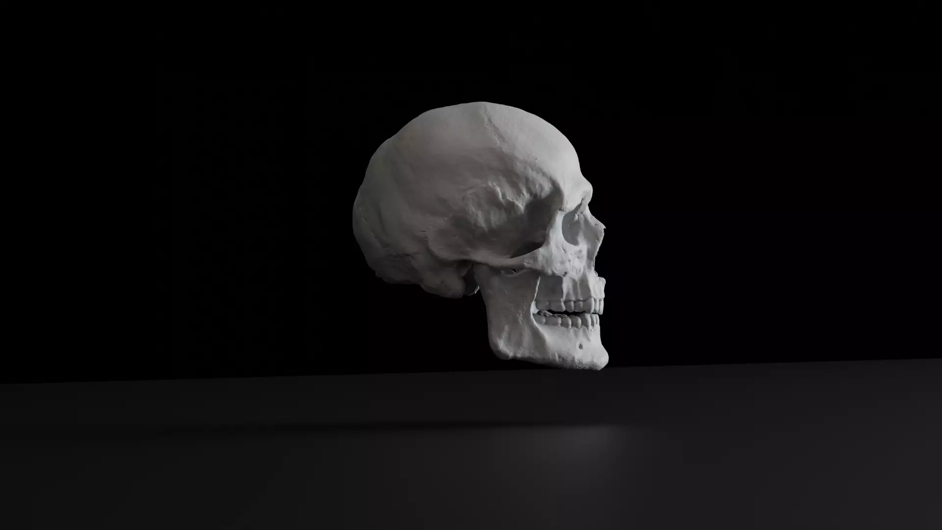 Human Skull 3D model_2