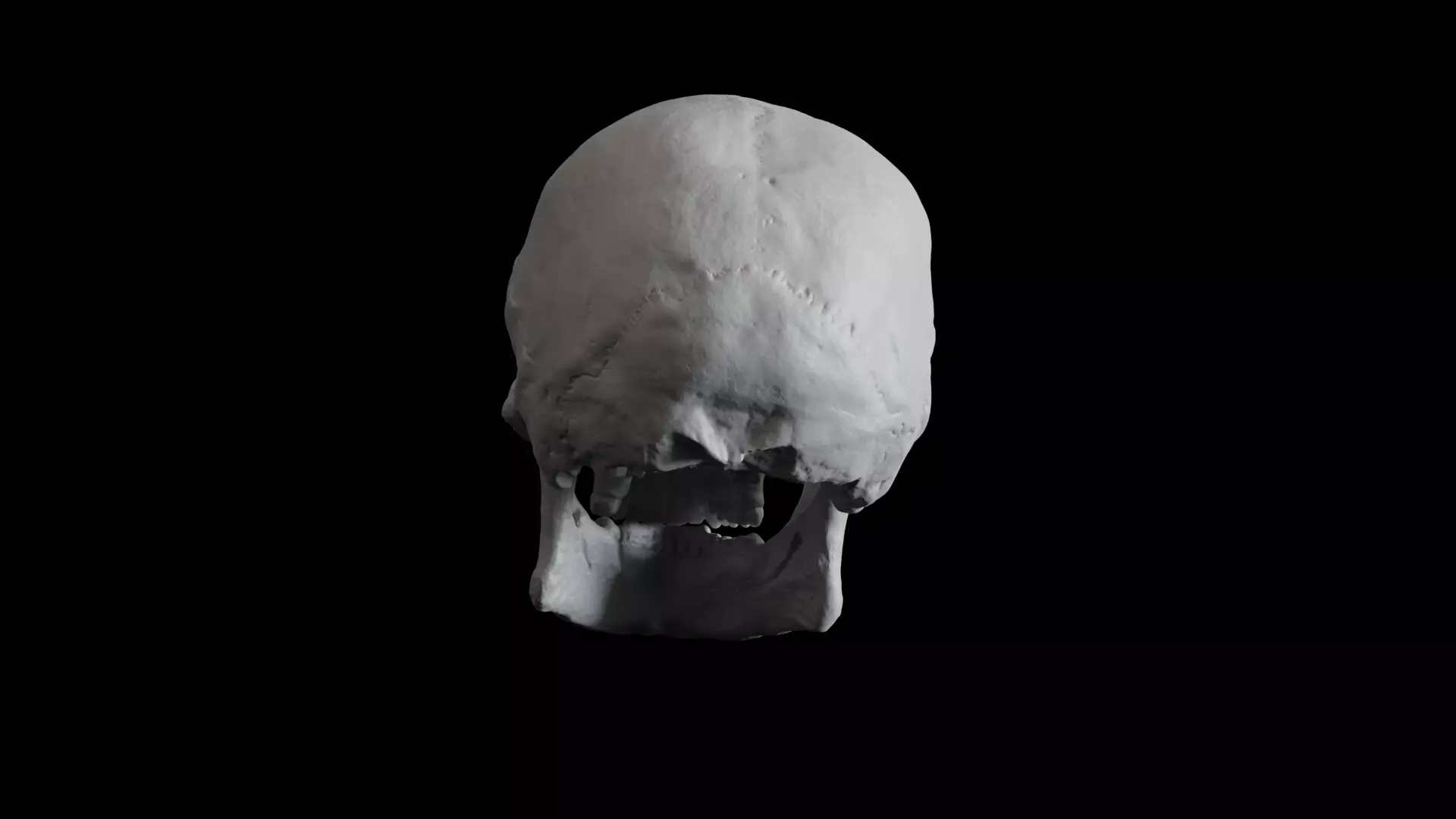Human Skull 3D model_3