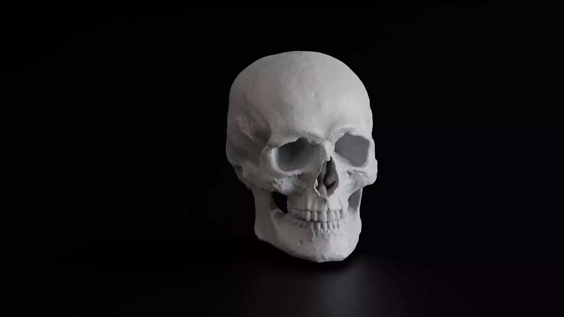 Human Skull 3D model_0
