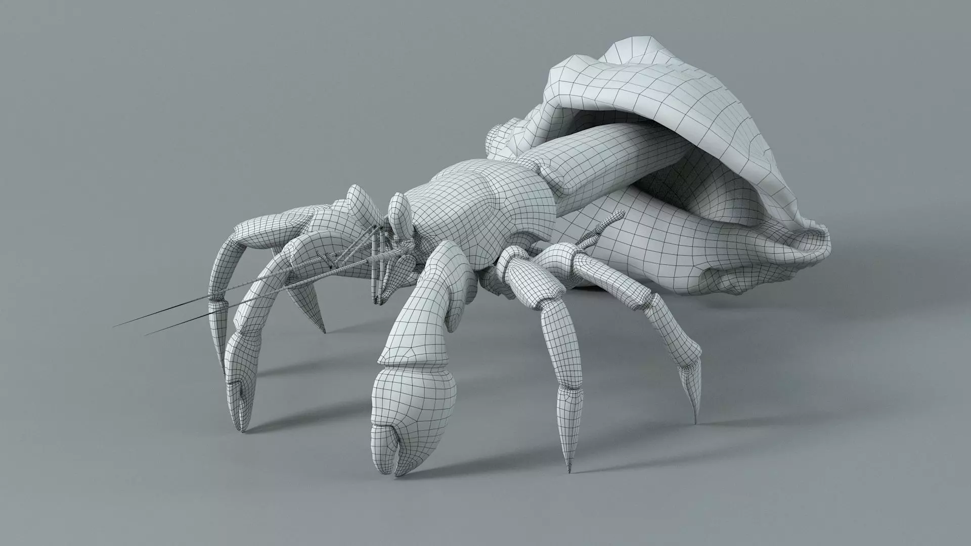 Hermit Crab Static  3D model_17