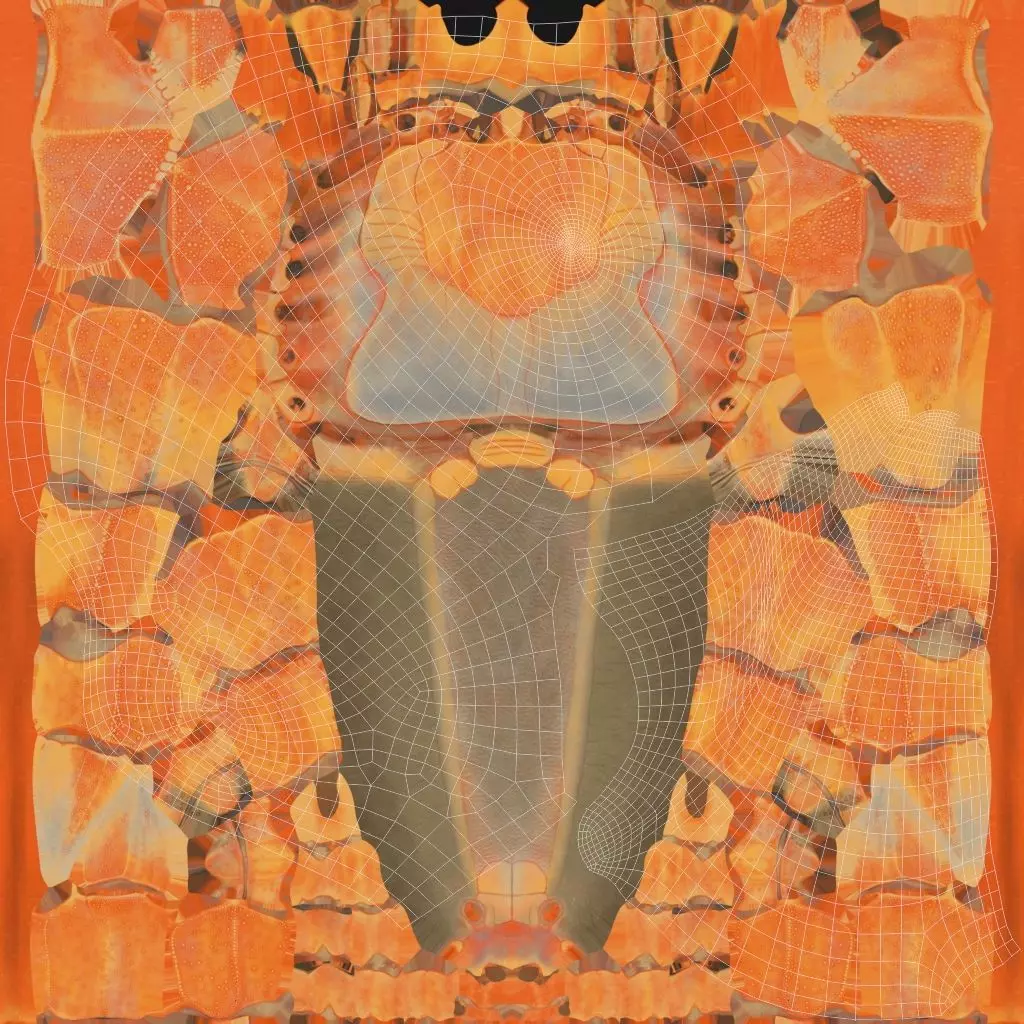 Hermit Crab Static  3D model_25