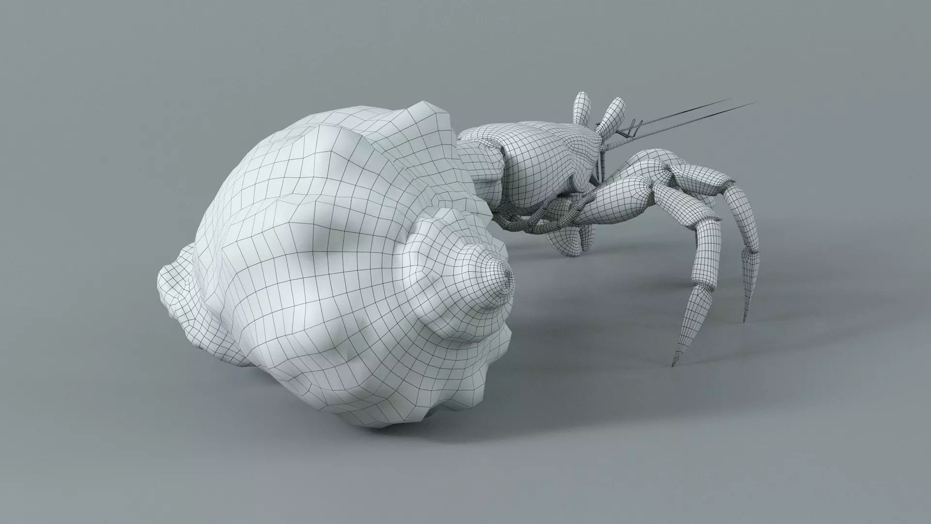 Hermit Crab Static  3D model_20