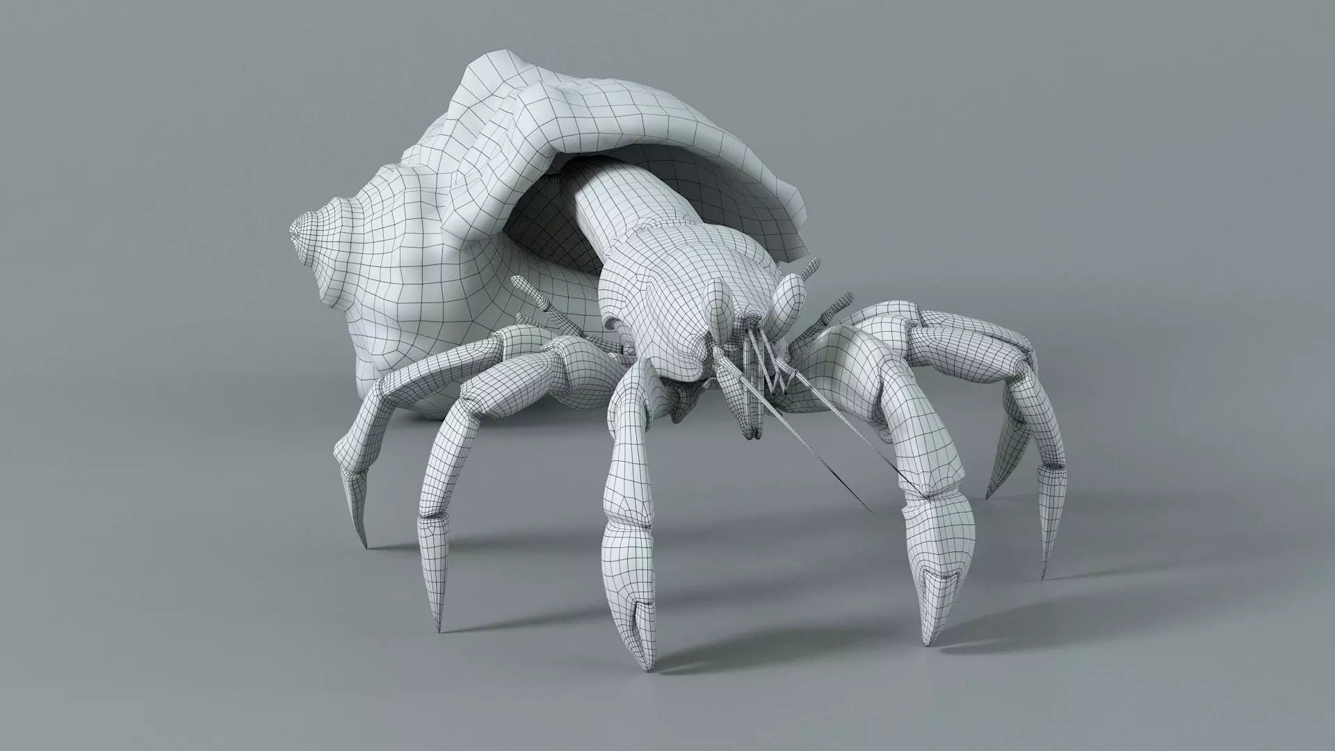 Hermit Crab Static  3D model_18