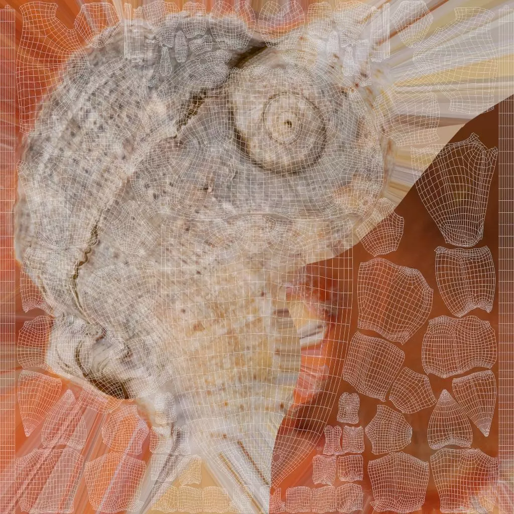 Hermit Crab Static  3D model_27