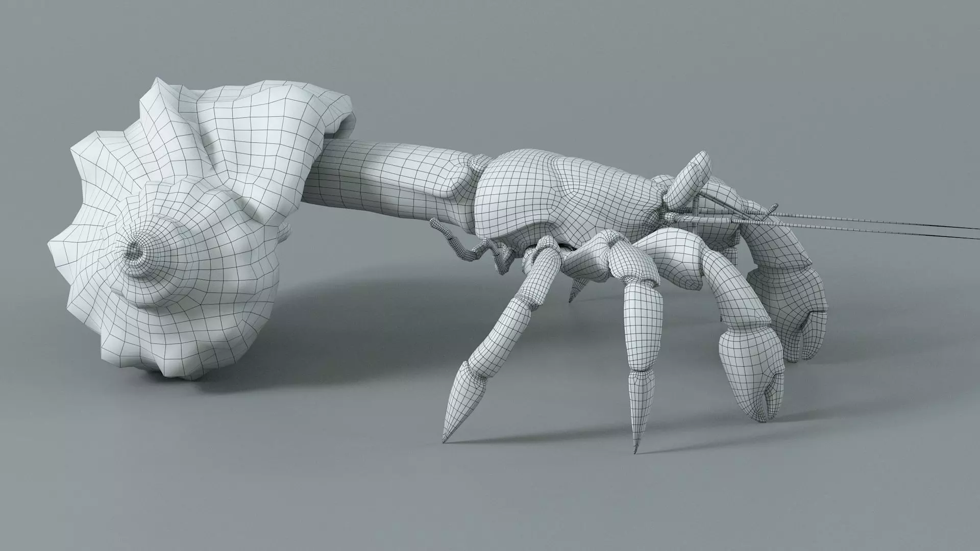 Hermit Crab Static  3D model_19