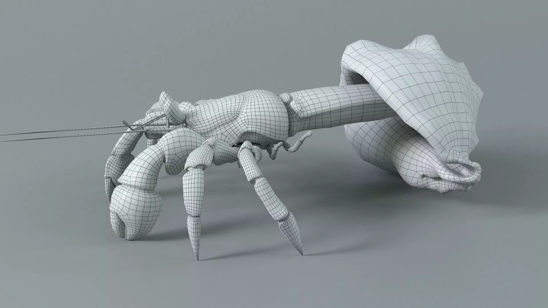 Hermit Crab Static  3D model_22