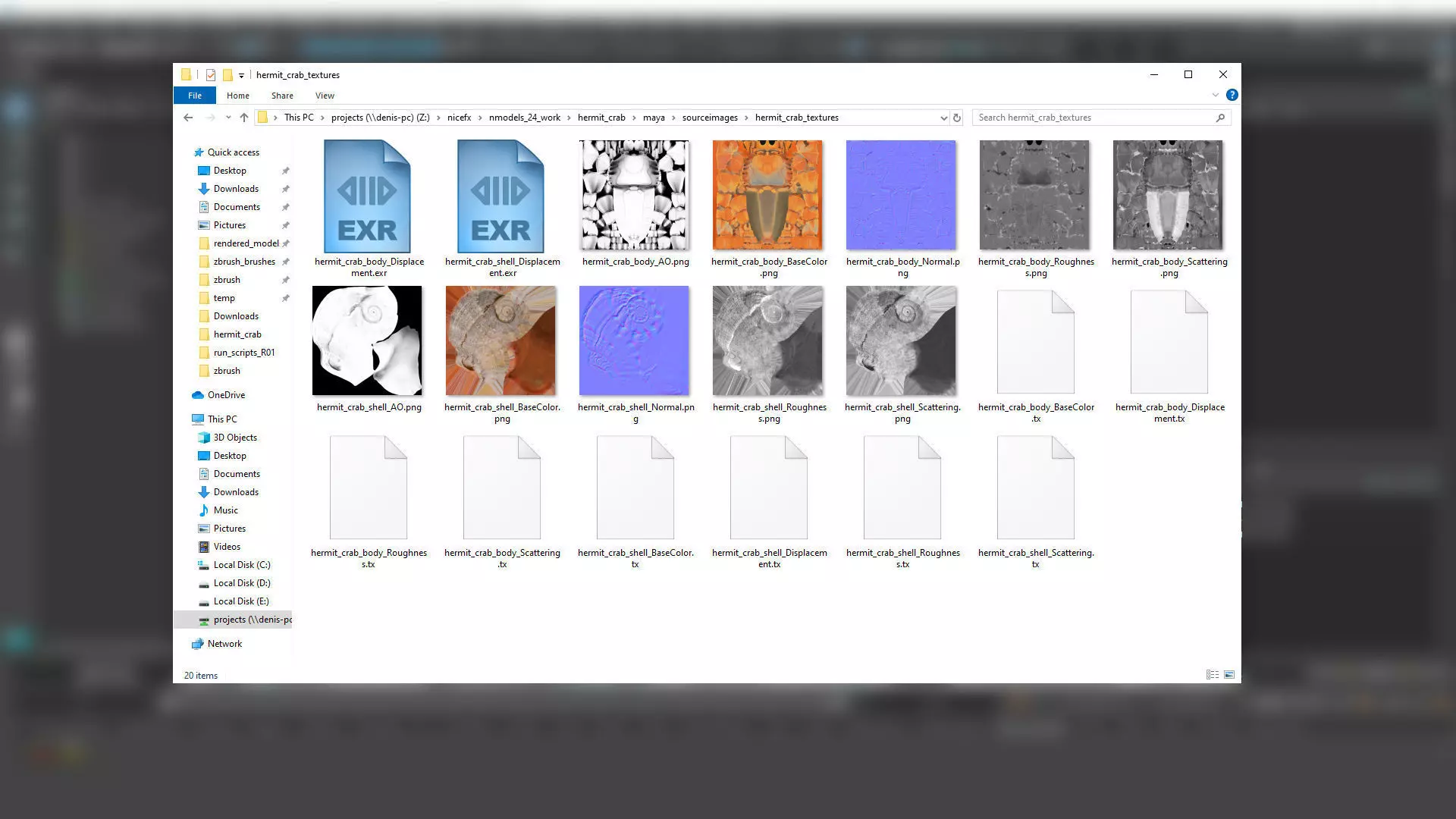 Hermit Crab Static  3D model_29