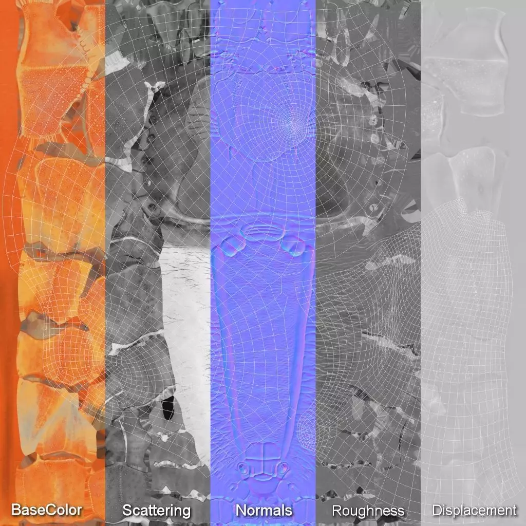 Hermit Crab Static  3D model_26