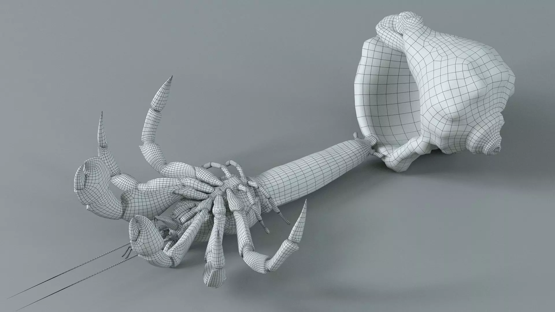 Hermit Crab Static  3D model_24