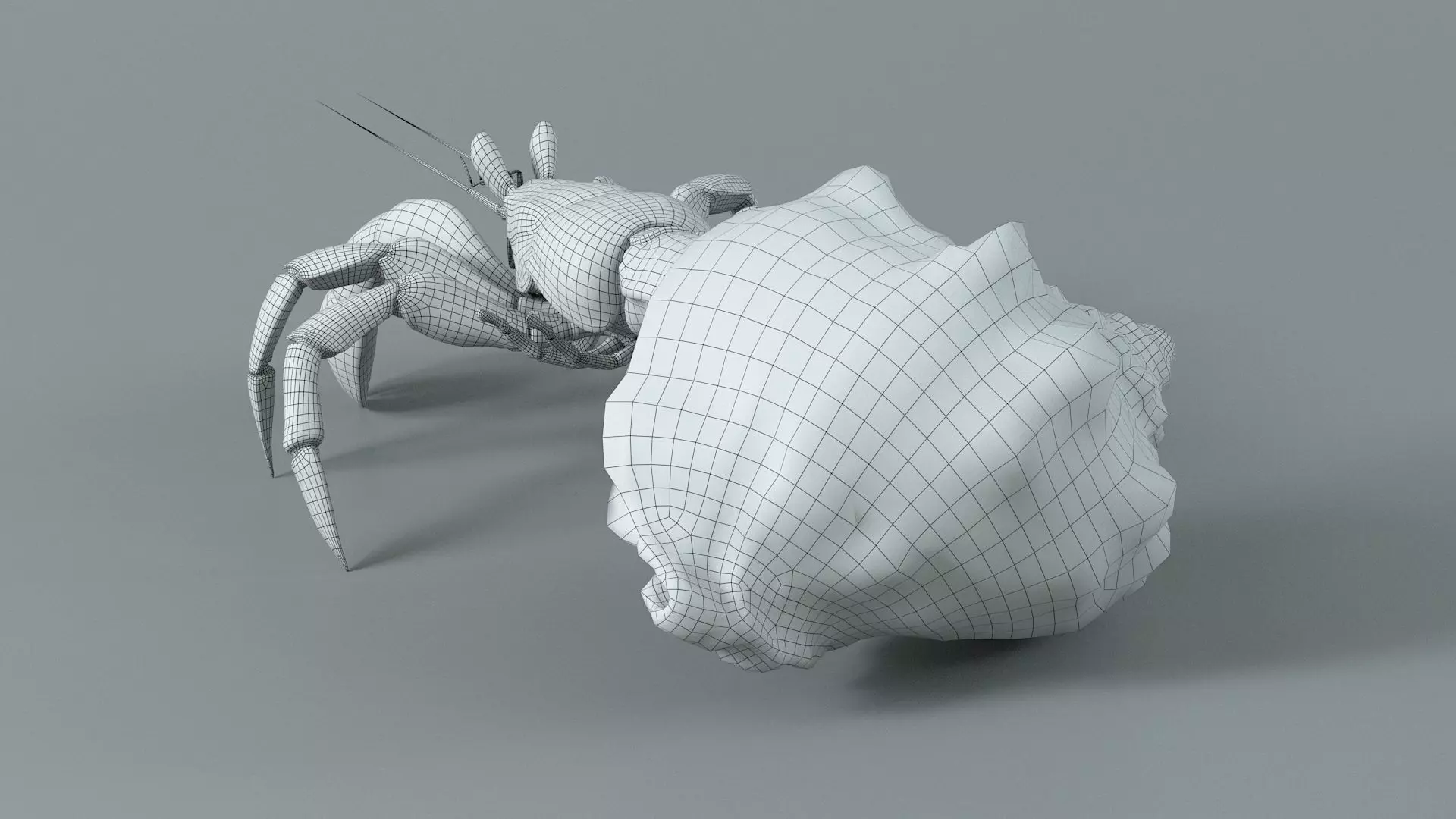 Hermit Crab Static  3D model_21