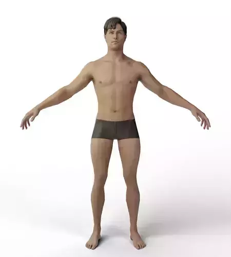 Base Mesh Men Evro Body 3D model