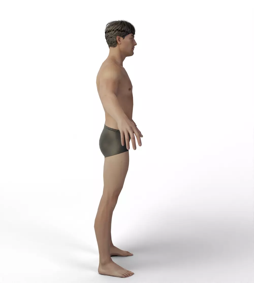 Base Mesh Men Evro Body 3D model_8